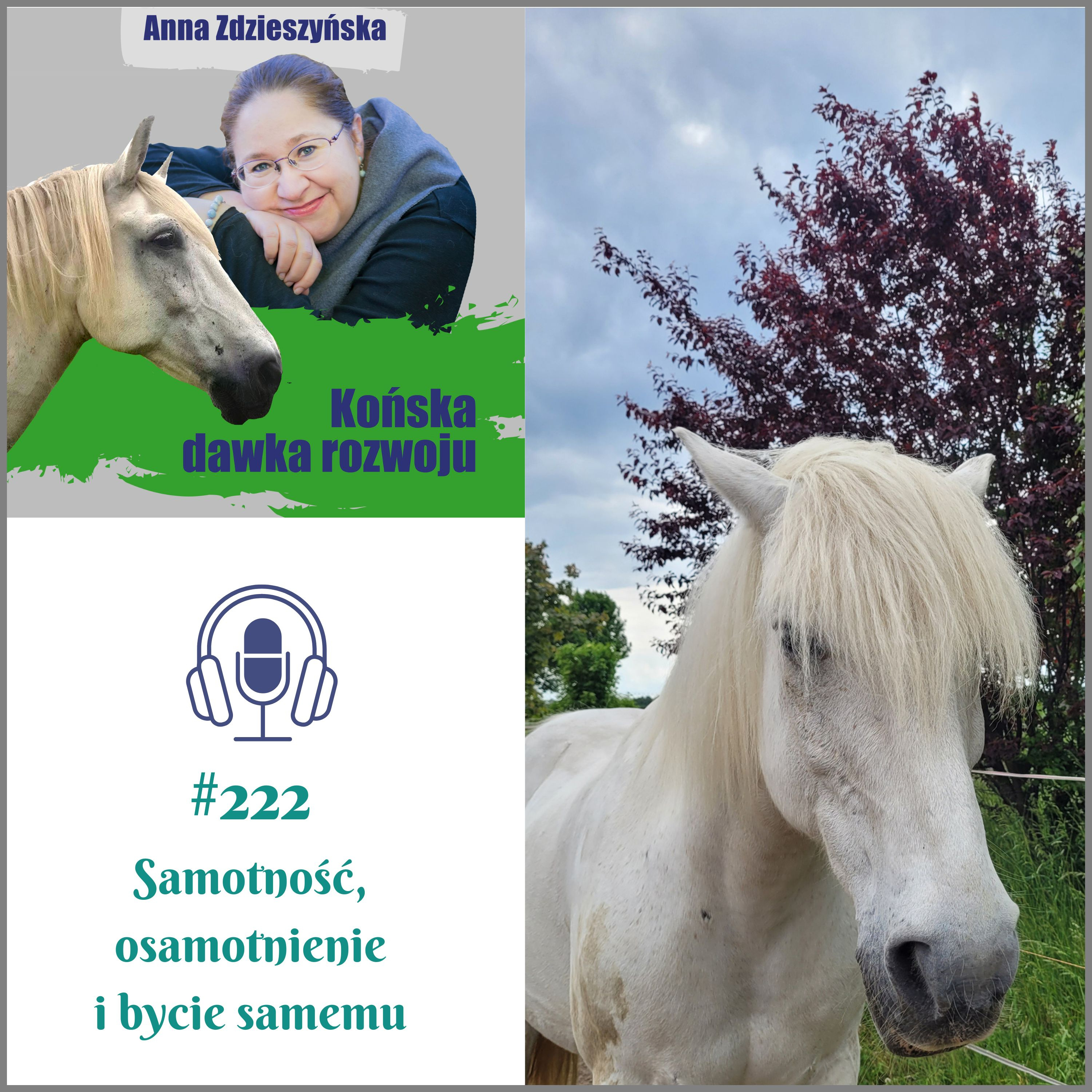 #222 Samotność, osamotnienie i bycie samemu episode artwork