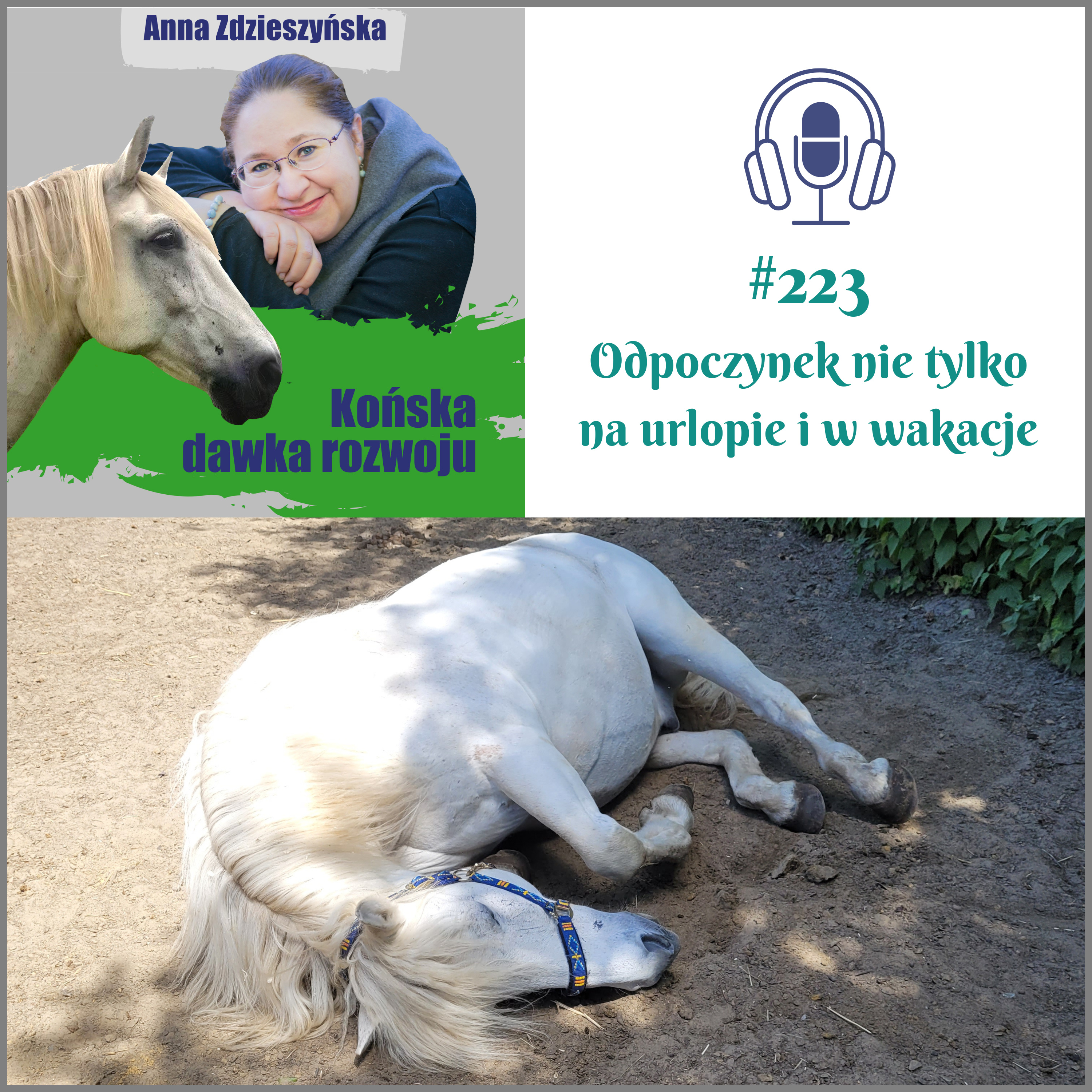 #223 Odpoczynek nie tylko na urlopie i w wakacje episode artwork