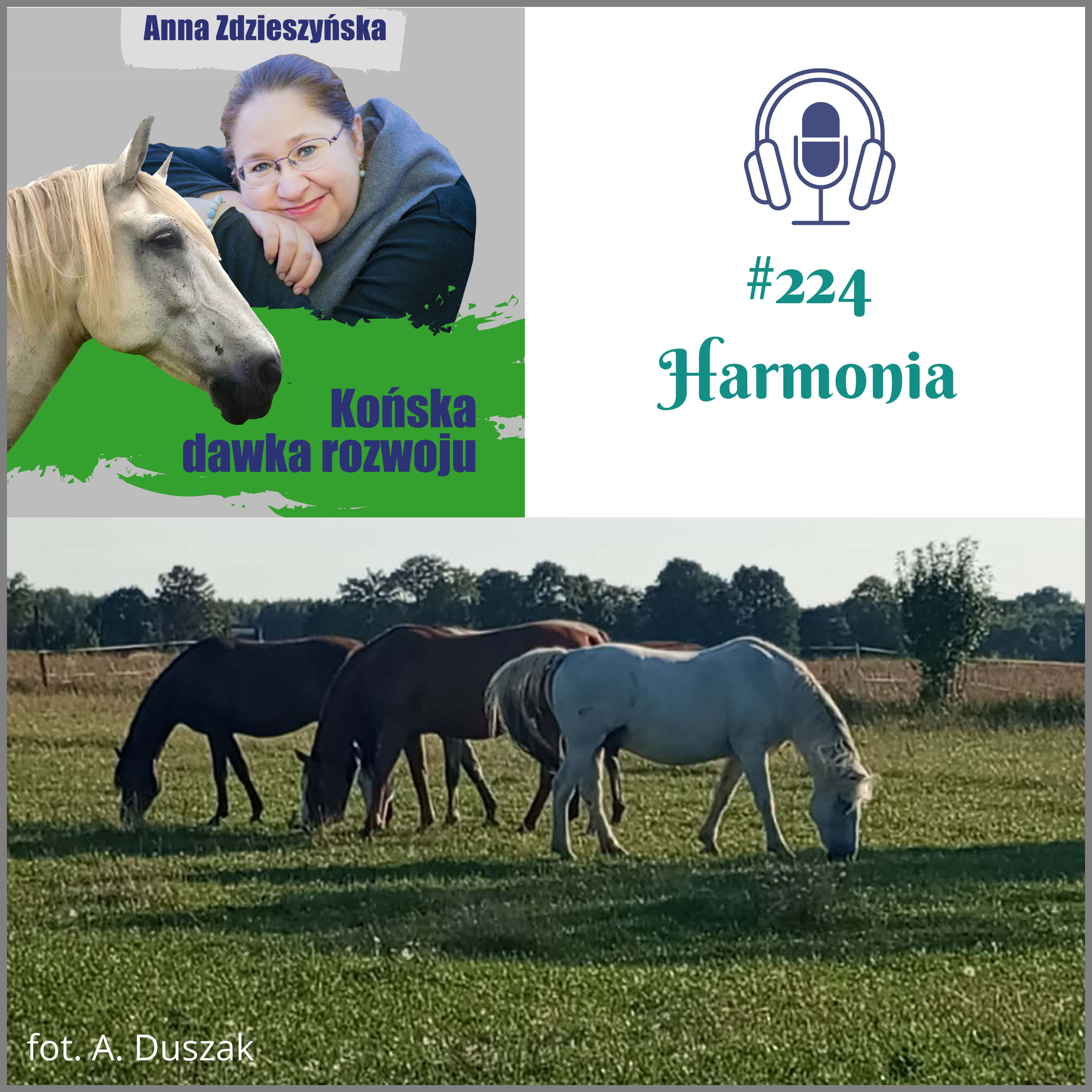 #224 Harmonia episode artwork