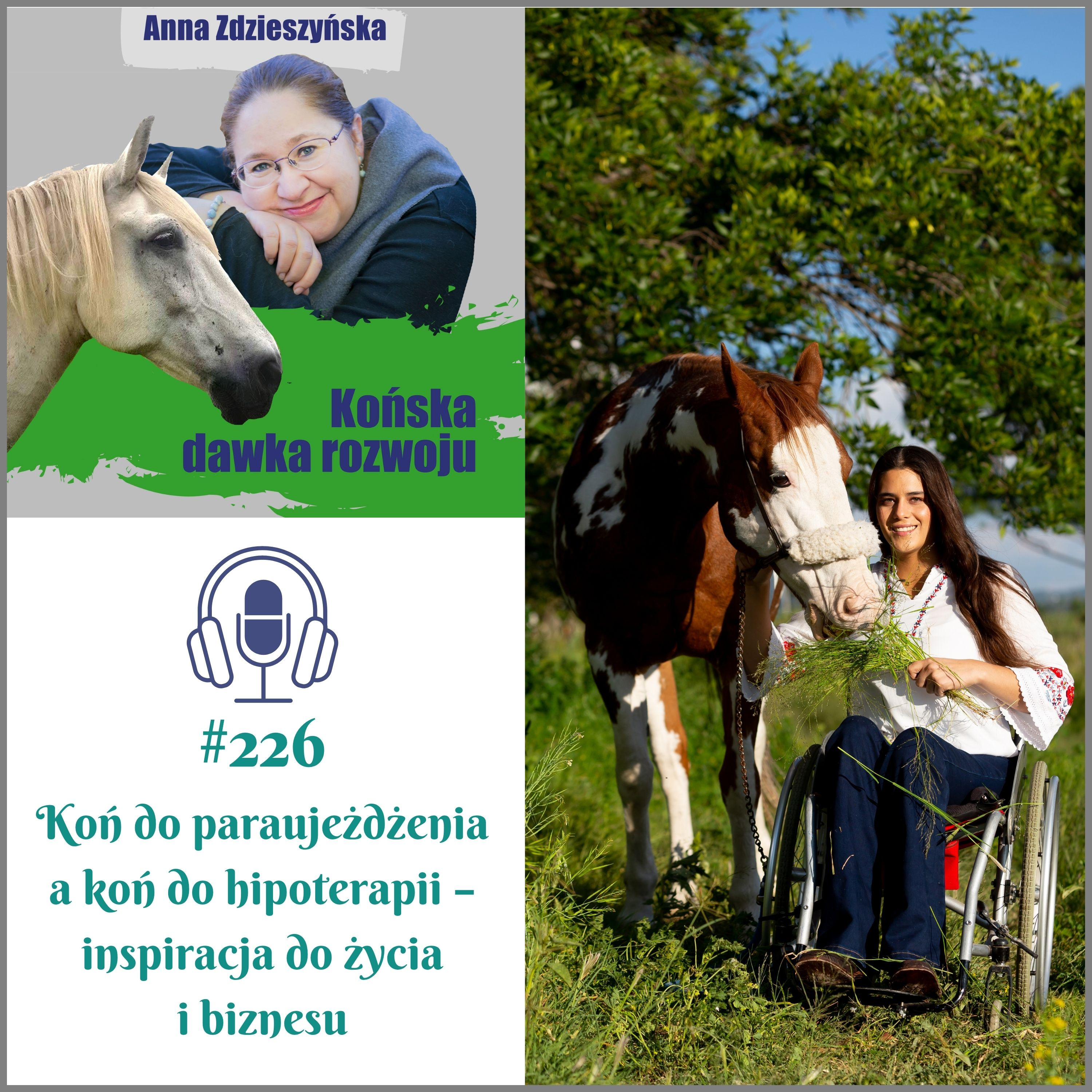 #226 Koń do paraujeżdżenia a koń do hipoterapii – inspiracja do życia i biznesu episode artwork