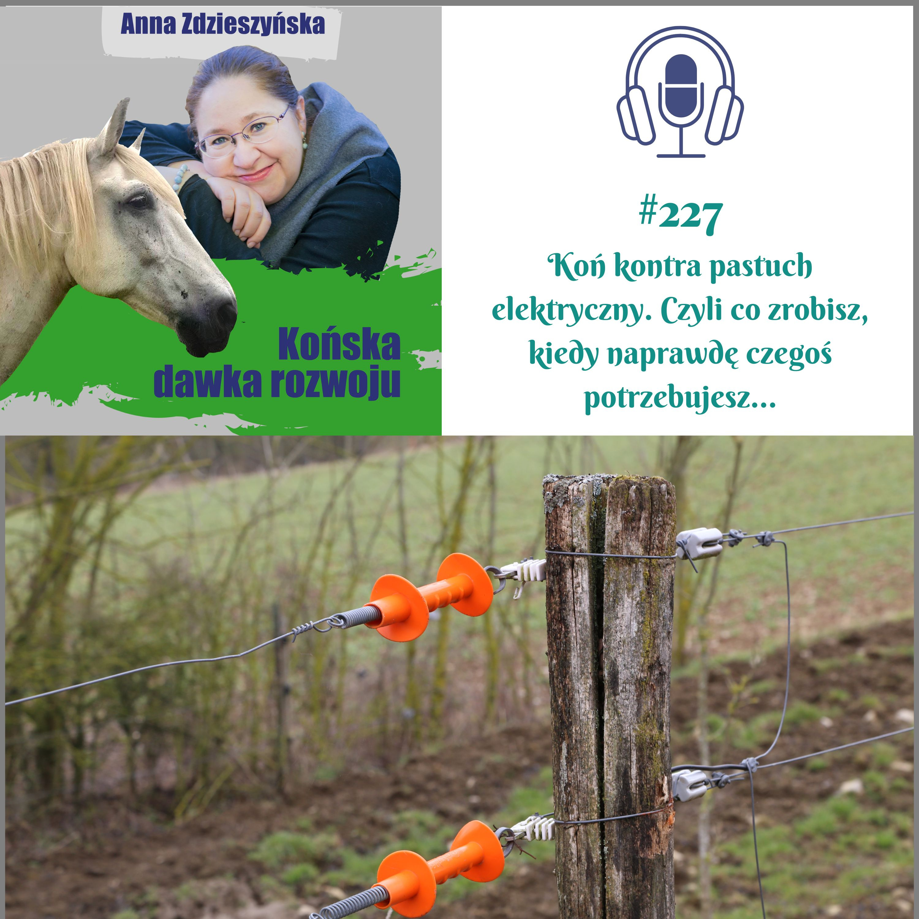 #227 Koń kontra pastuch elektryczny. Czyli co zrobisz, kiedy naprawdę czegoś potrzebujesz… episode artwork