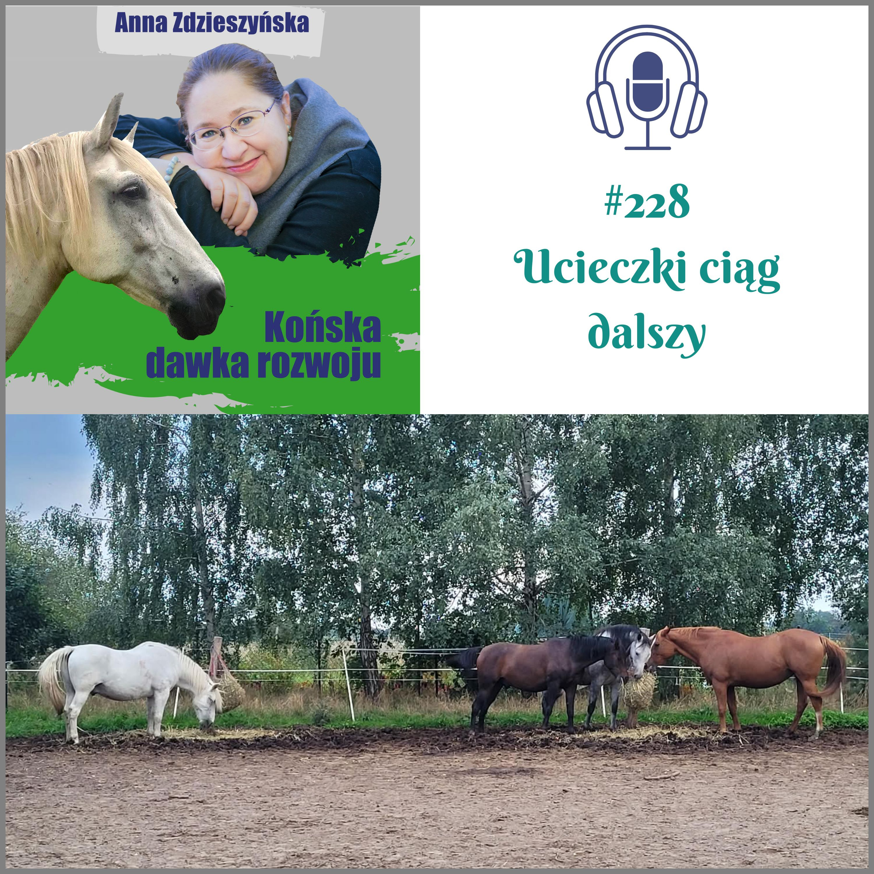 #228 Ucieczki ciąg dalszy episode artwork