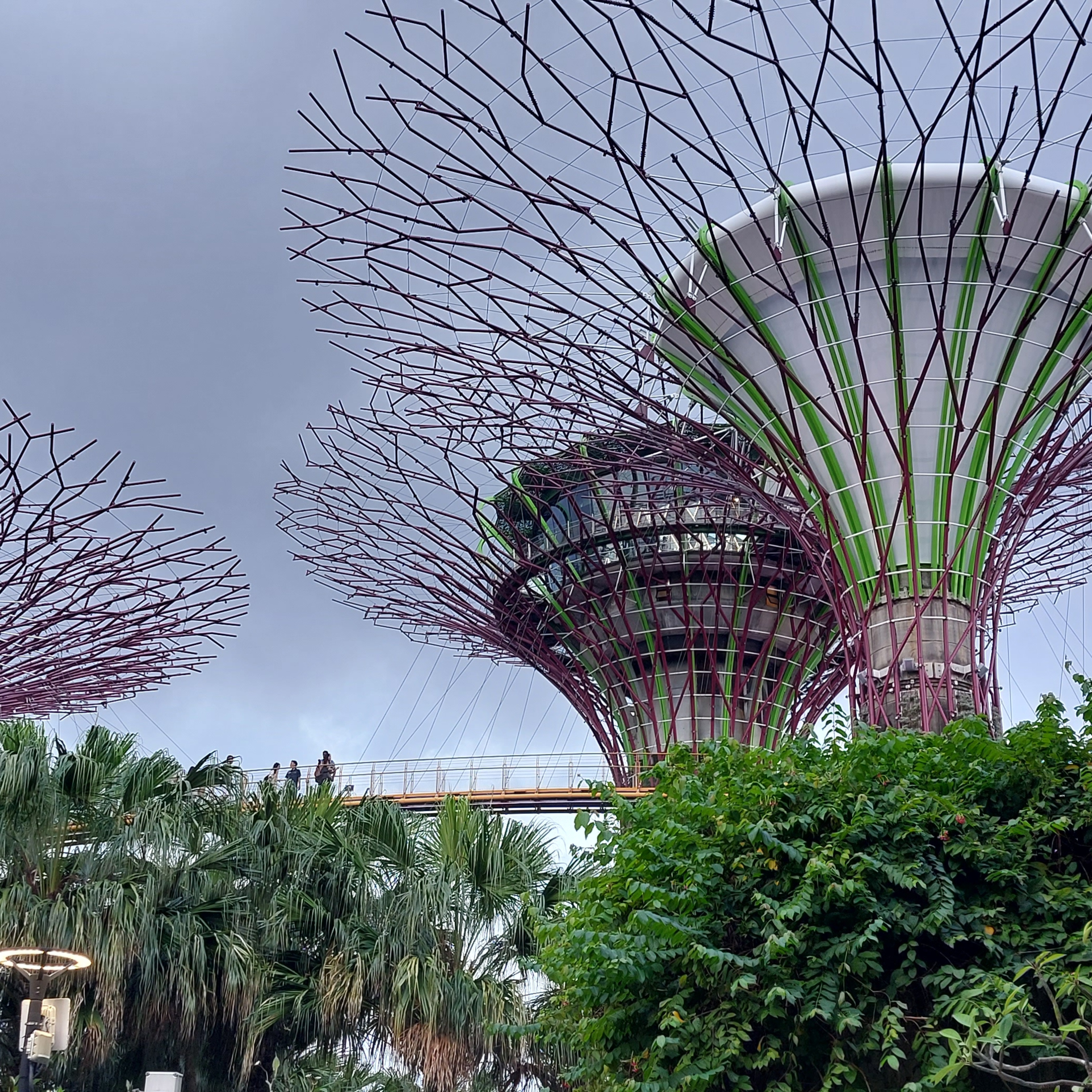 A beginner's guide to South East Asia   PODCAST 238