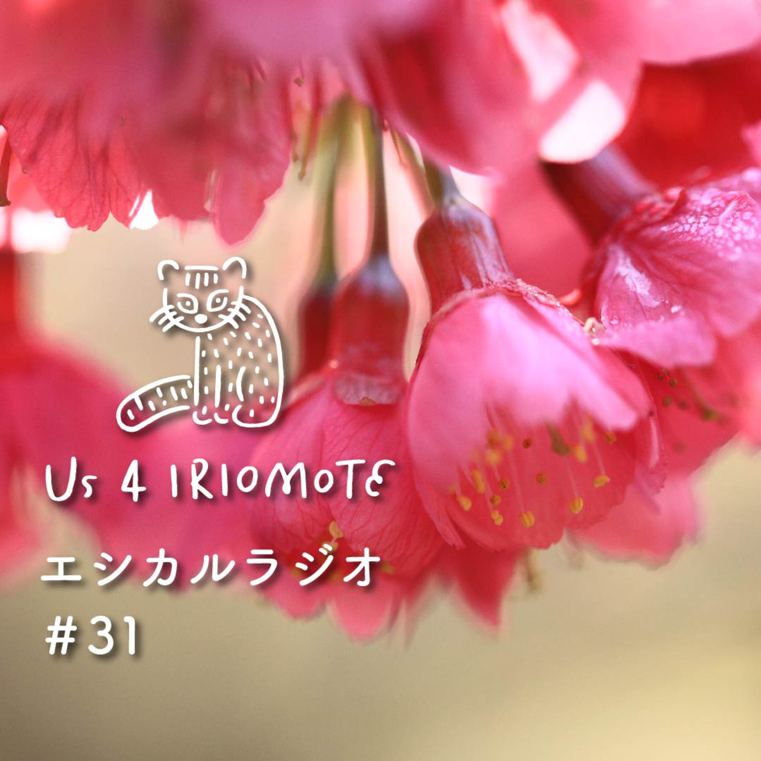 ＃31 今がいちばん寒い！冬の沖縄・西表島の楽しみ方レポート episode artwork