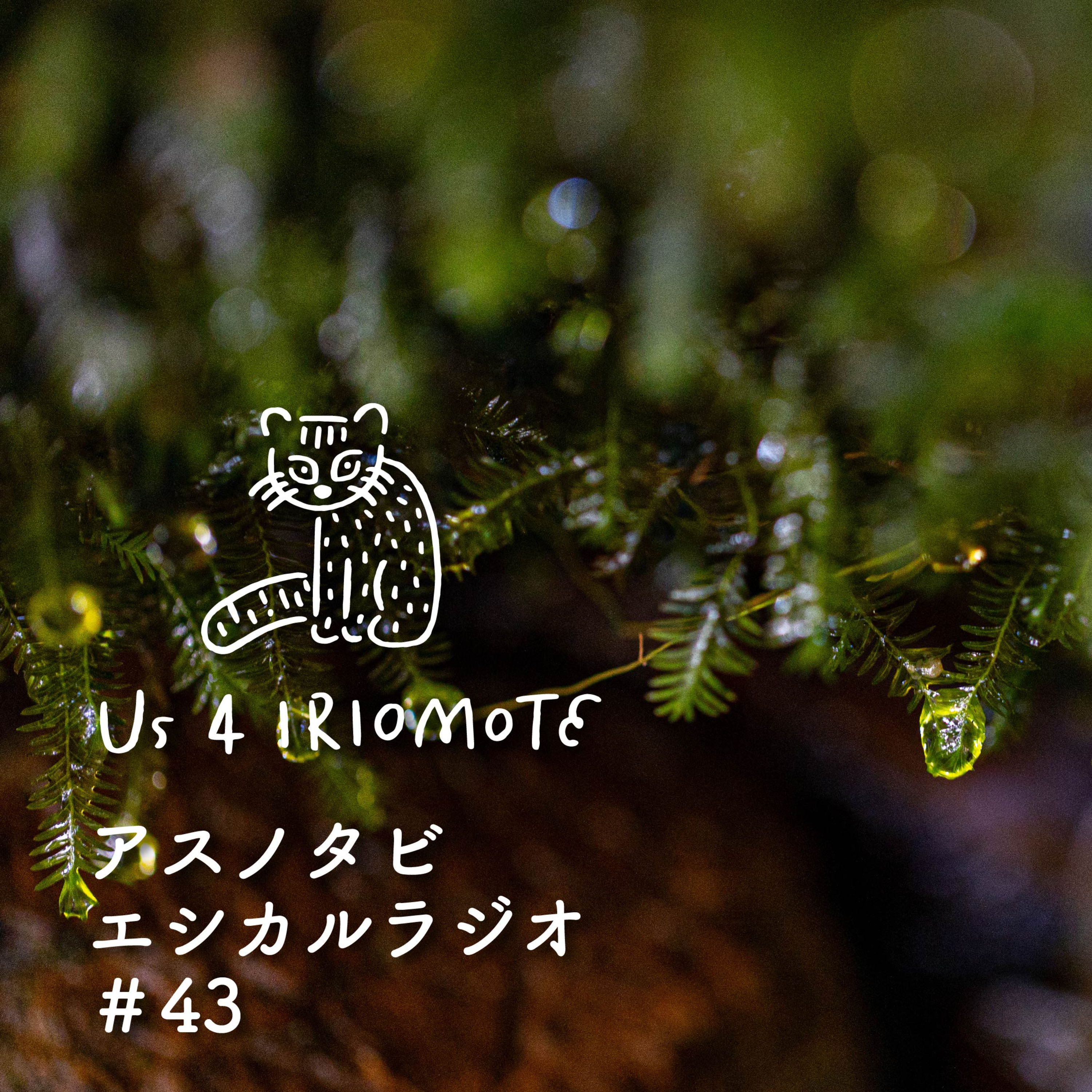 #43 川のはじまりの一滴を見に行く旅 episode artwork