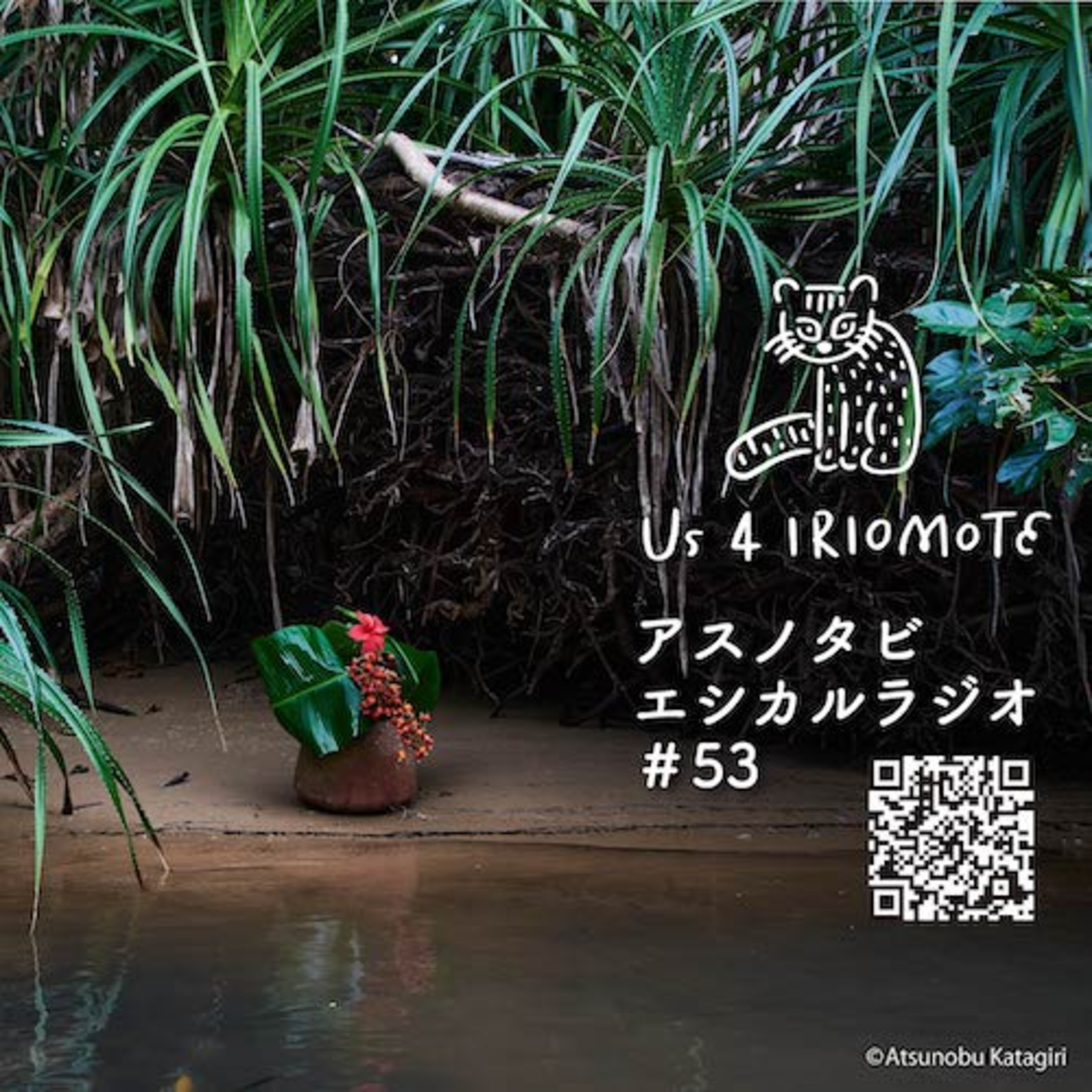 #53　続報！「竹富町の島々からはじまる日本最南端の国際芸術祭」の最新情報！ episode artwork