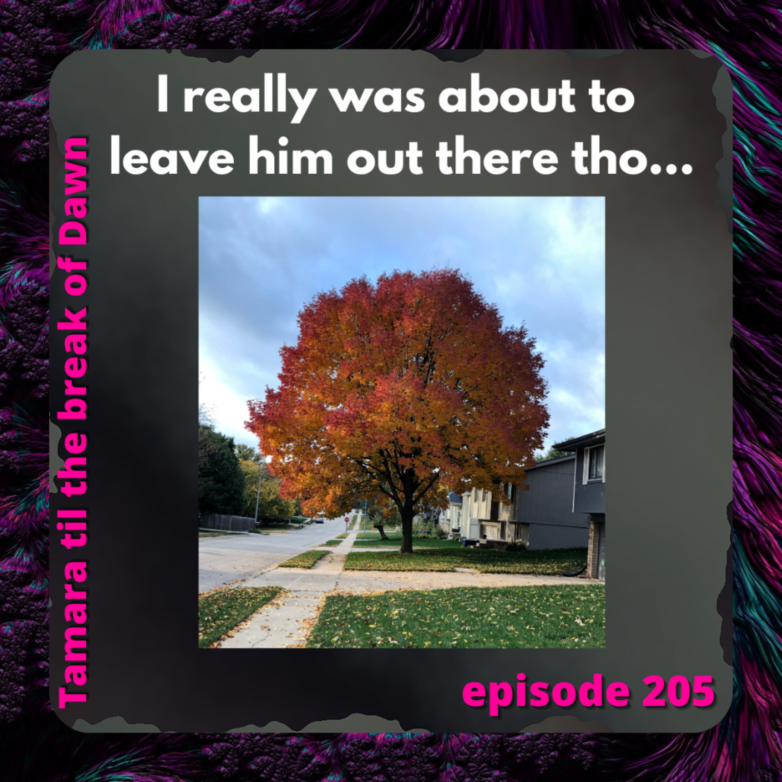 205. I really was about to leave him out there tho… episode artwork