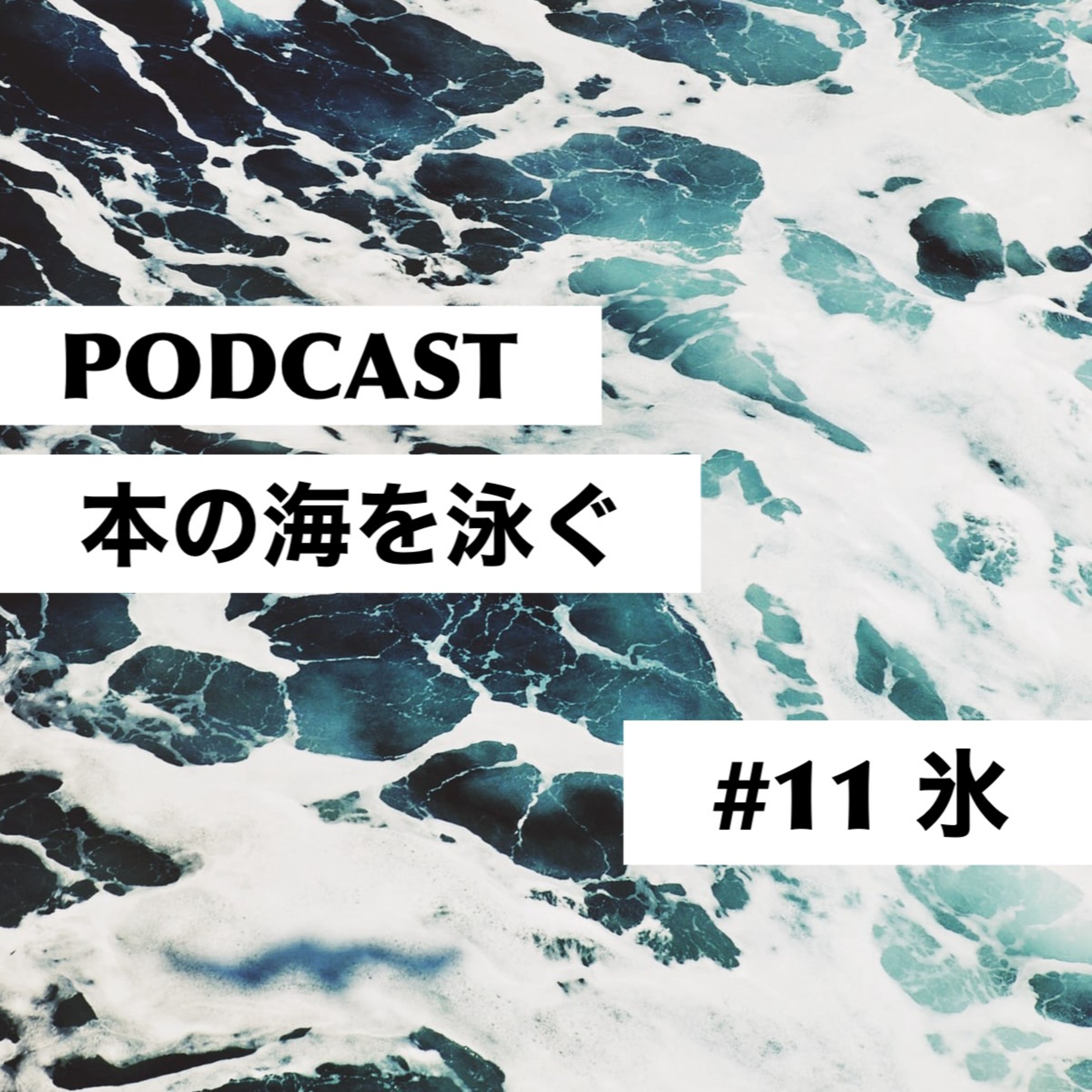 #11 アンナ・カヴァン|氷 episode artwork