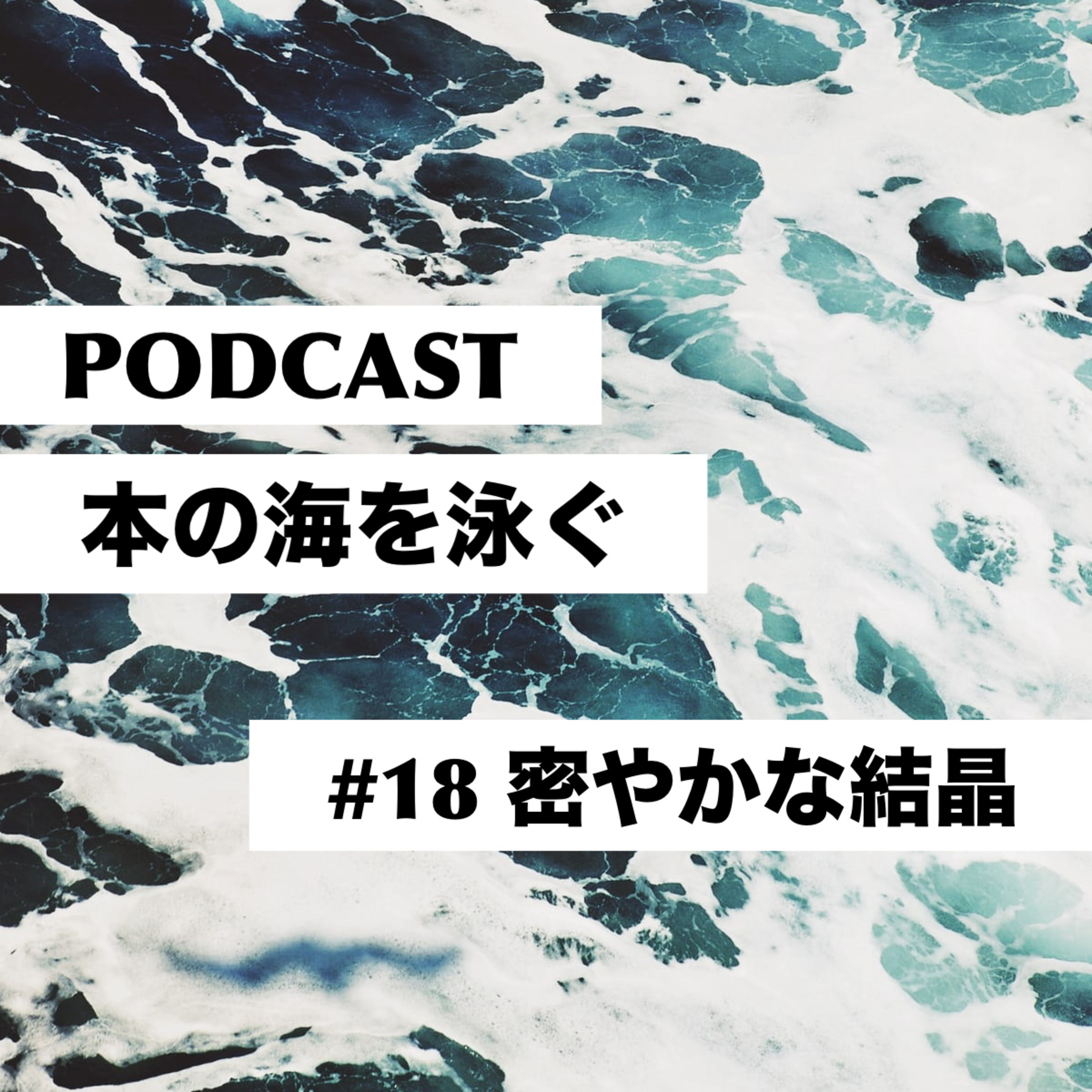 #18 小川洋子|密やかな結晶 episode artwork