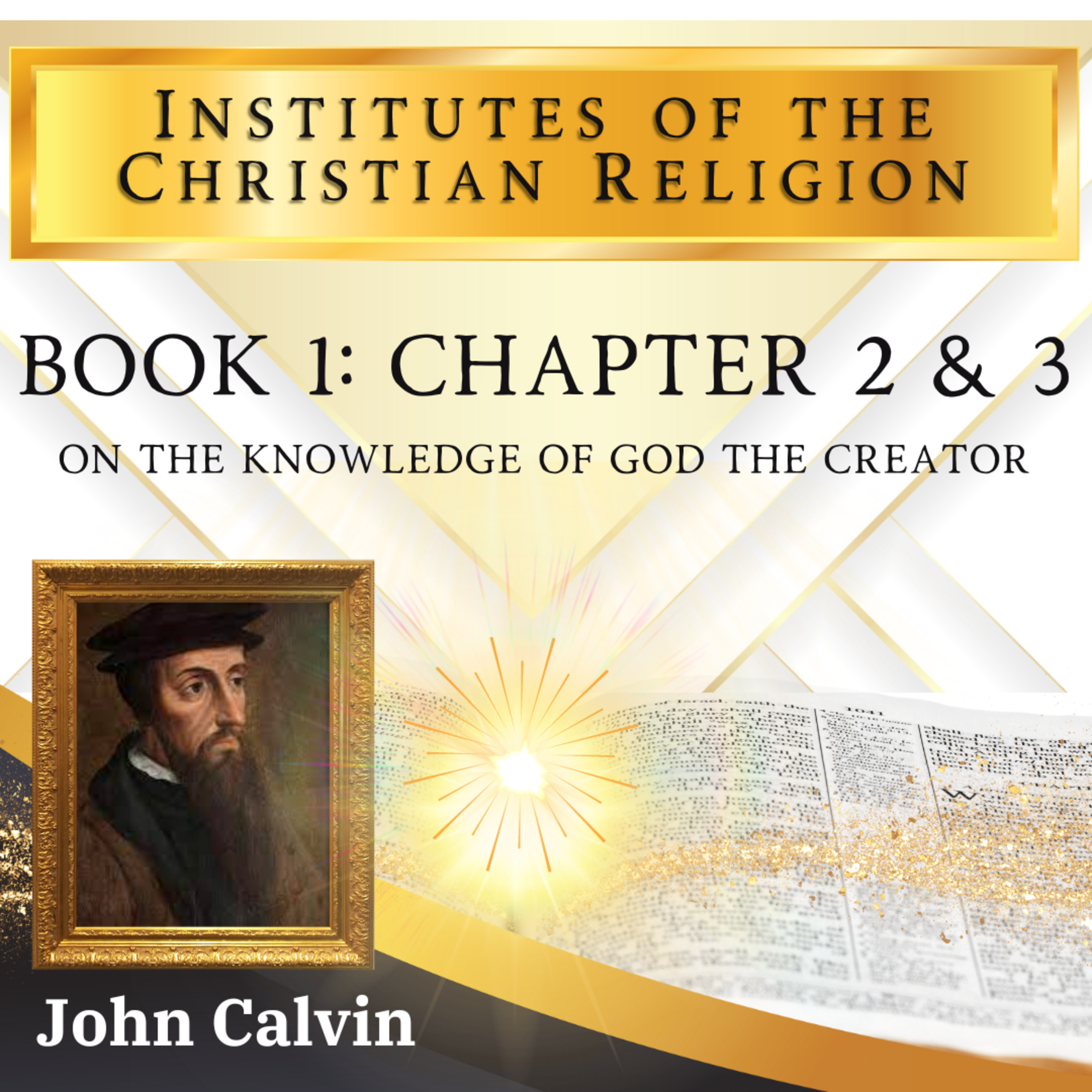 Calvin's Institutes In-A-Year: Chapters 2 & 3 [Vol#1] By John Calvin [Christian Audiobook]
