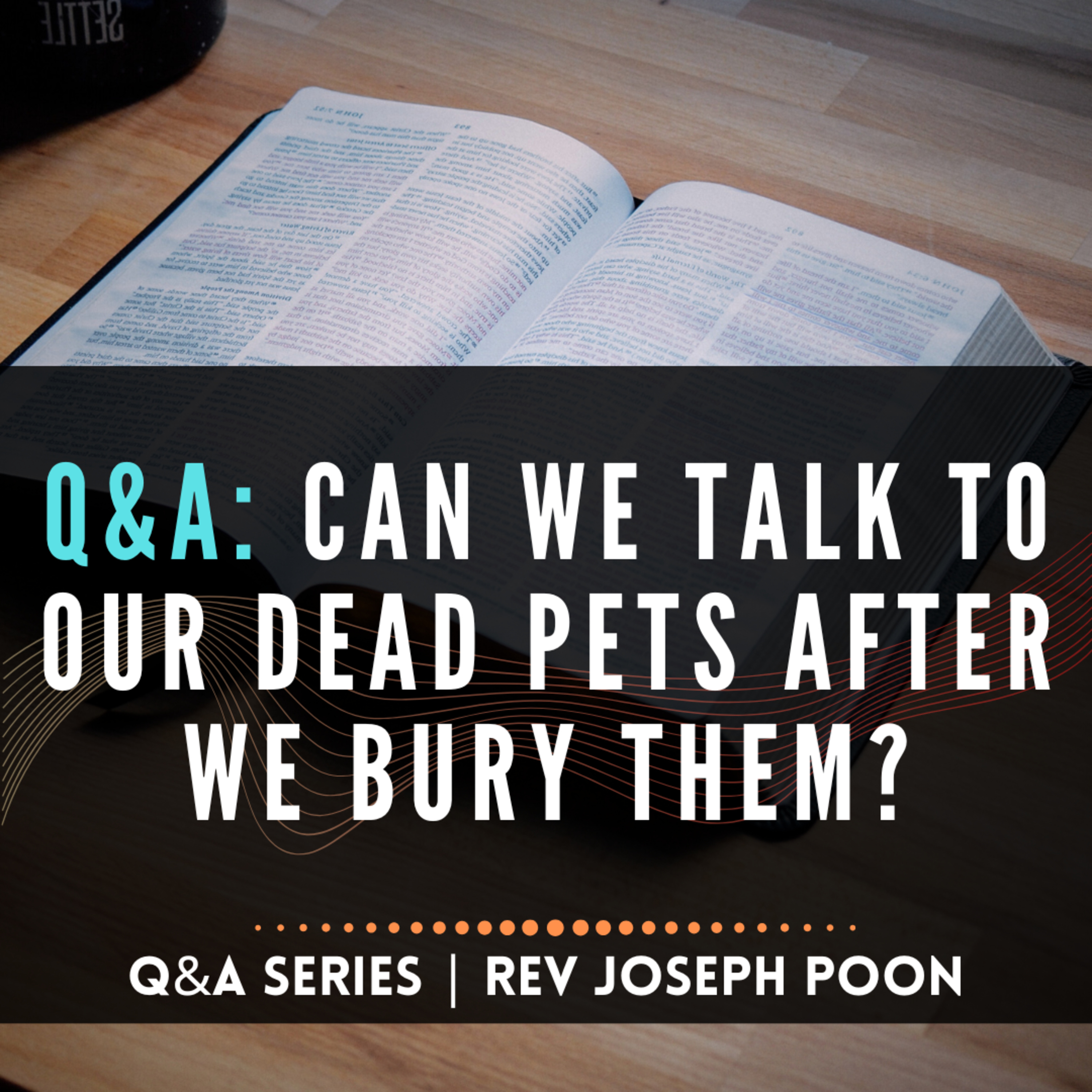 Can We Talk To Our Dead Pets After We Bury Them? - Bible Q&A # 250