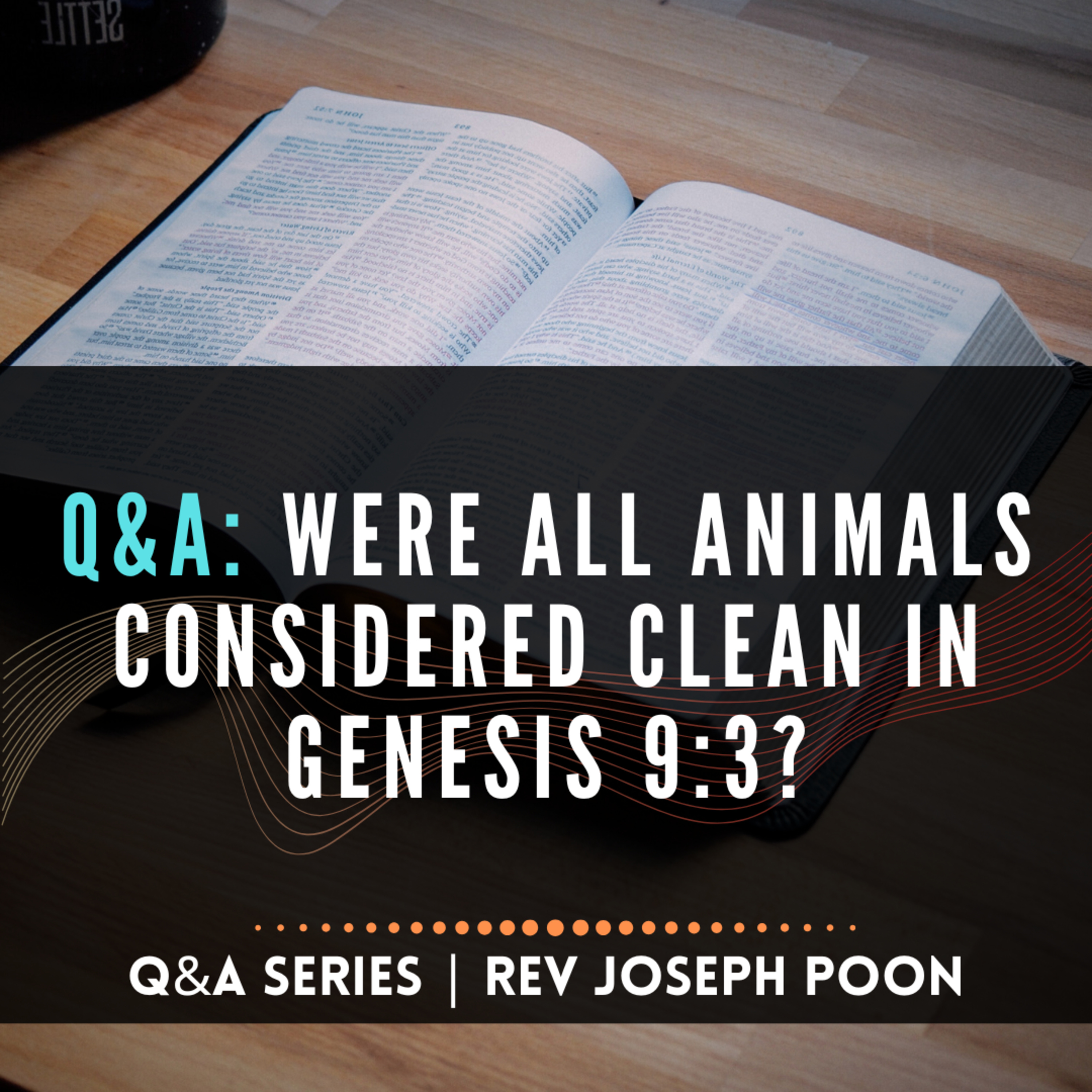Were All Animals Considered Clean In Genesis 9:3? - Bible Q&A # 289 episode artwork