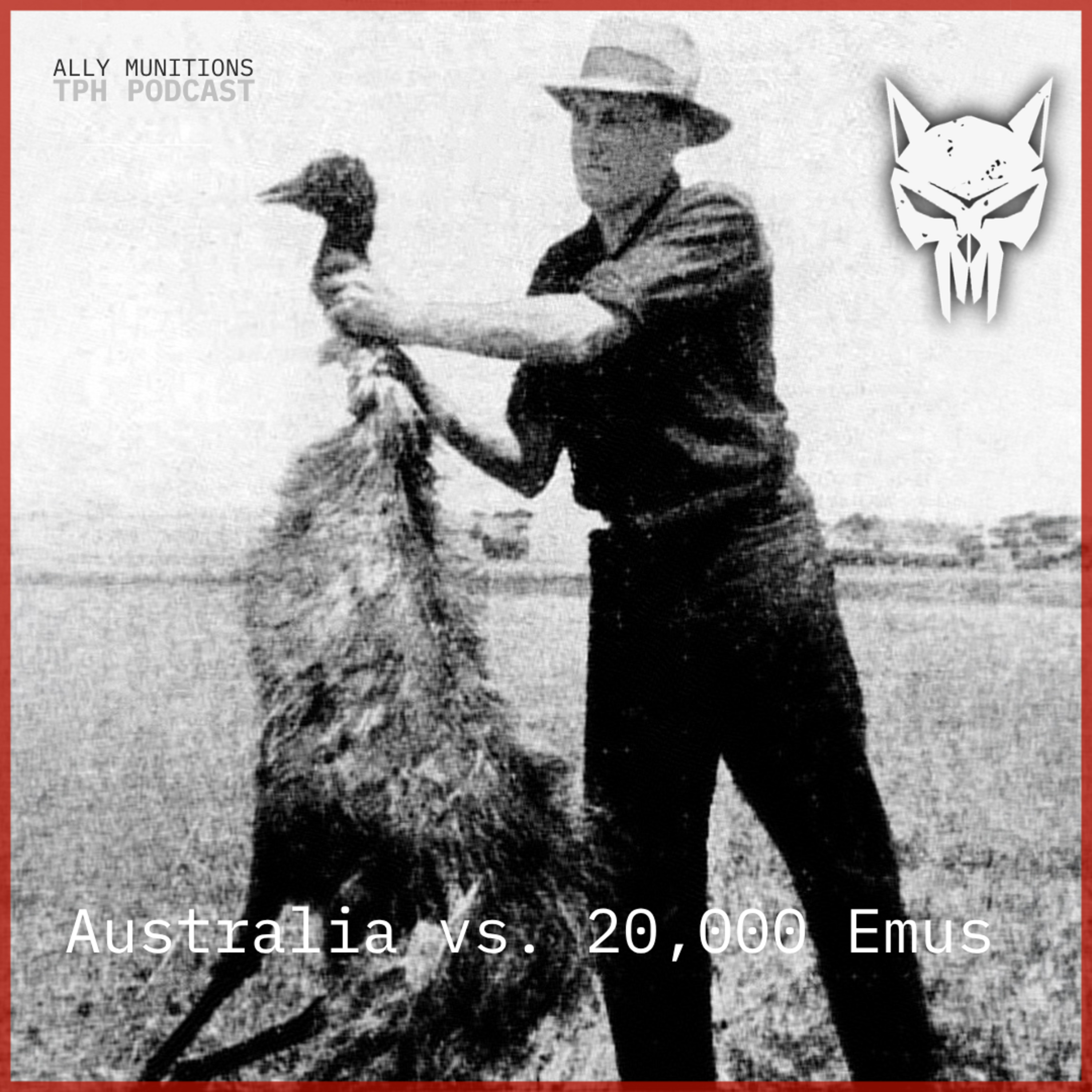 12 Minute Talk: The War Australia Lost to Emus episode artwork