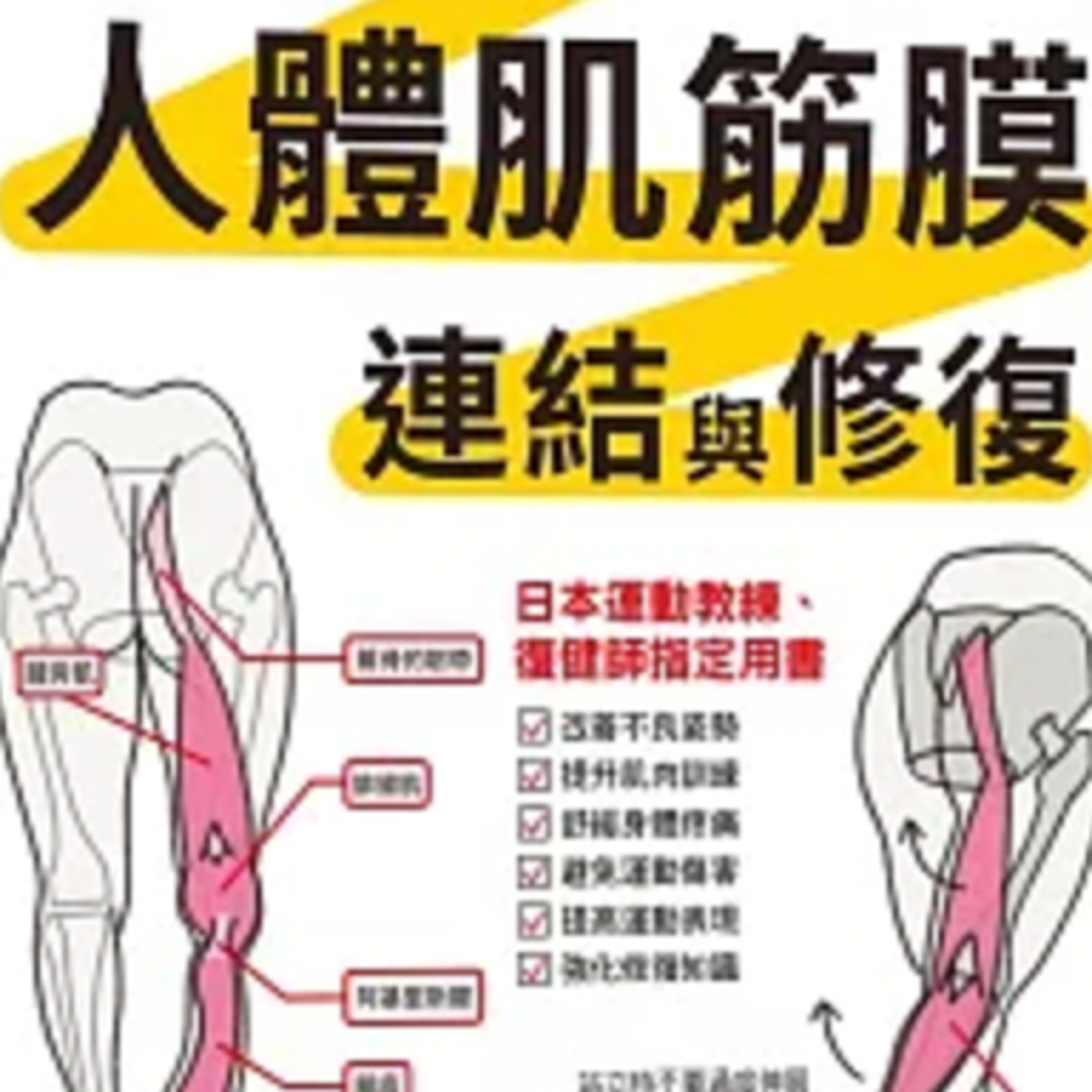 1774超圖解！人體肌筋膜連結與修復