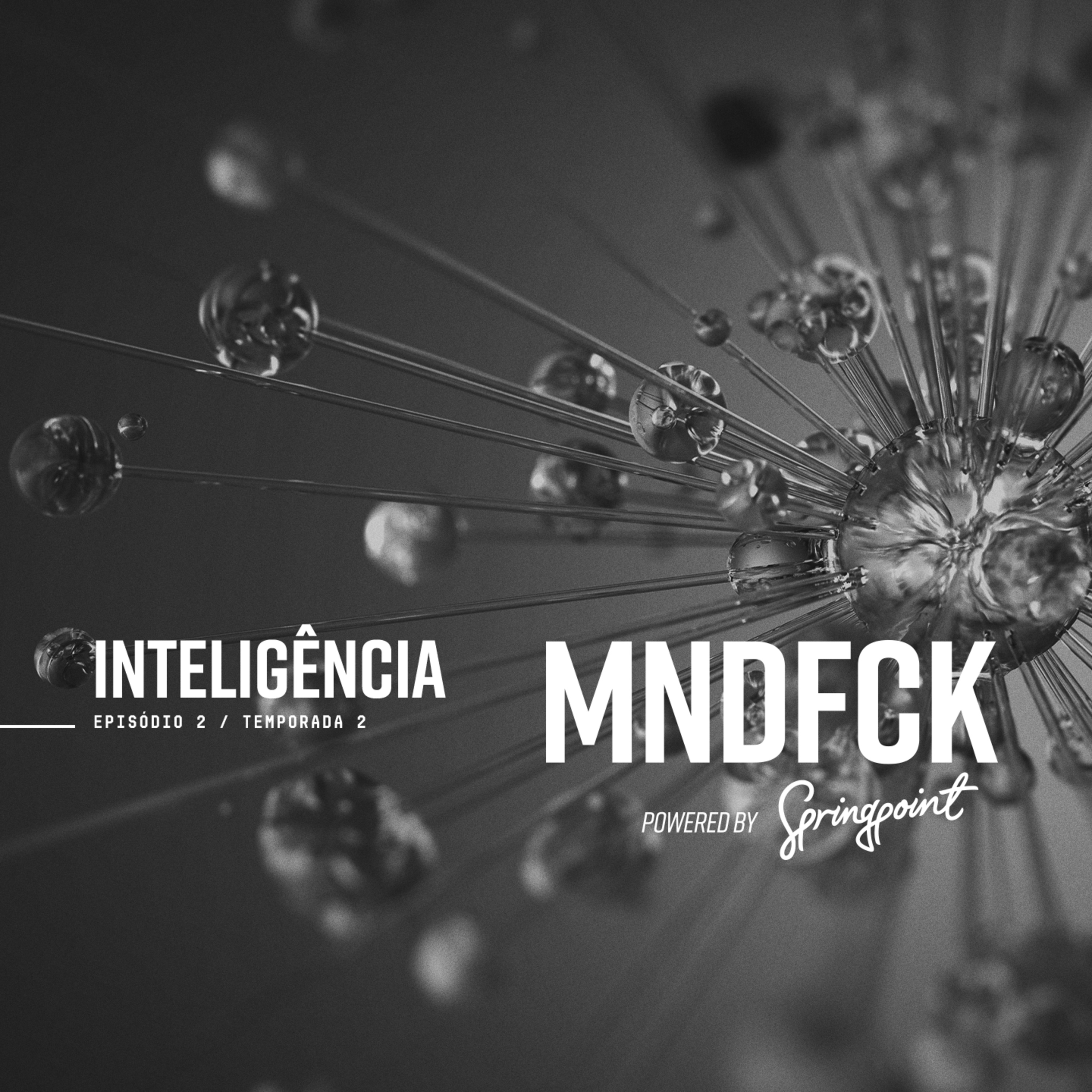 MNDFCK T2E2 – Inteligência