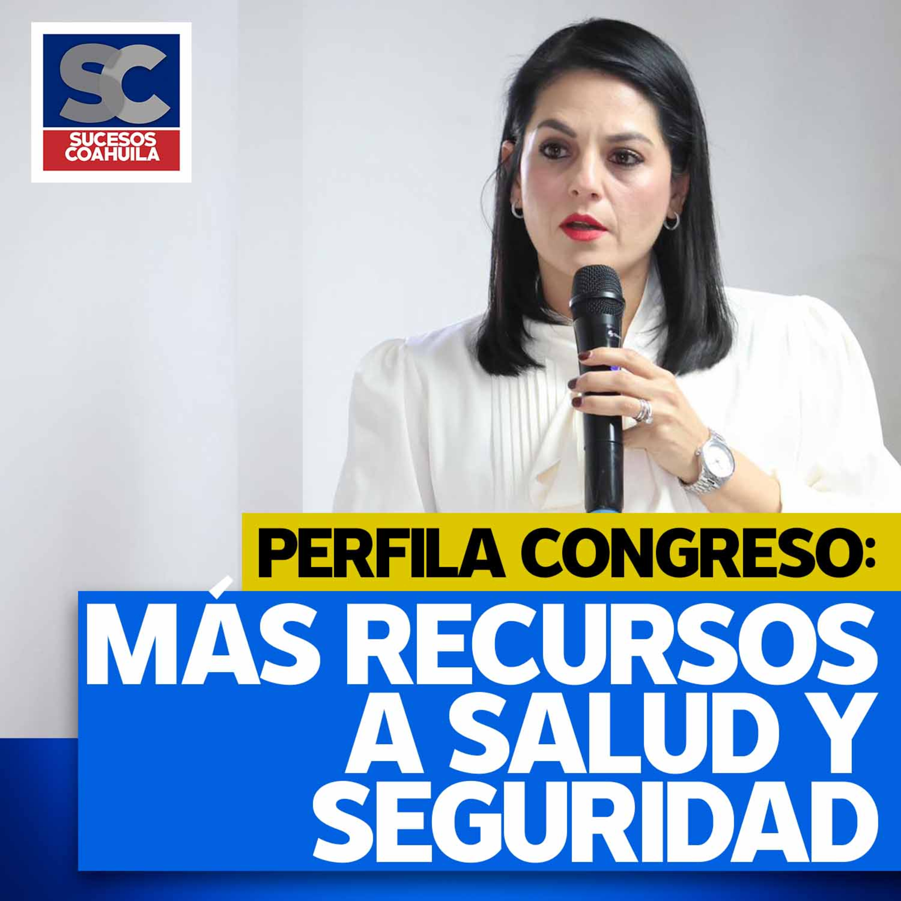 Perfila Congreso más recursos a salud y seguridad: Luz Elena