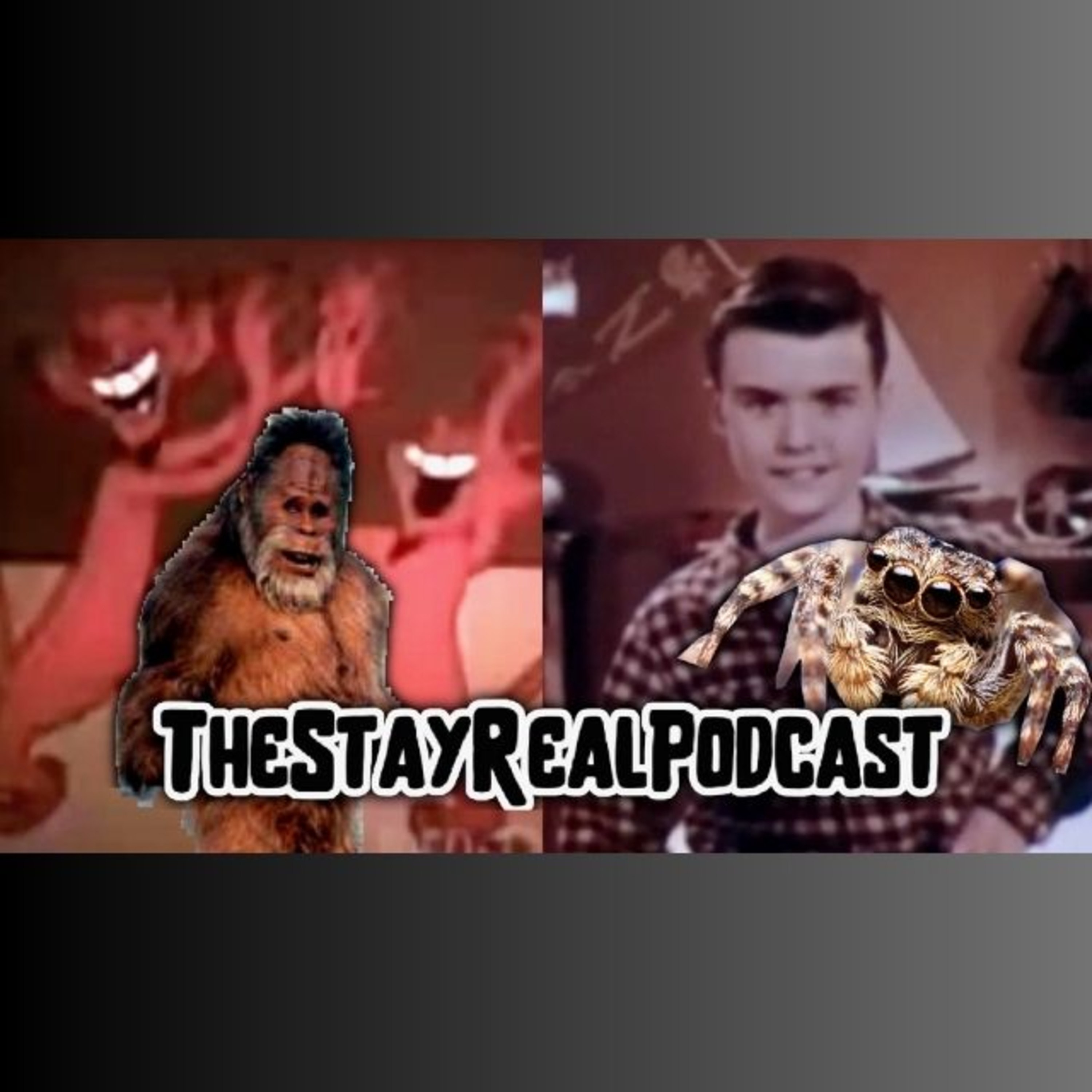 The Stay Real Podcast