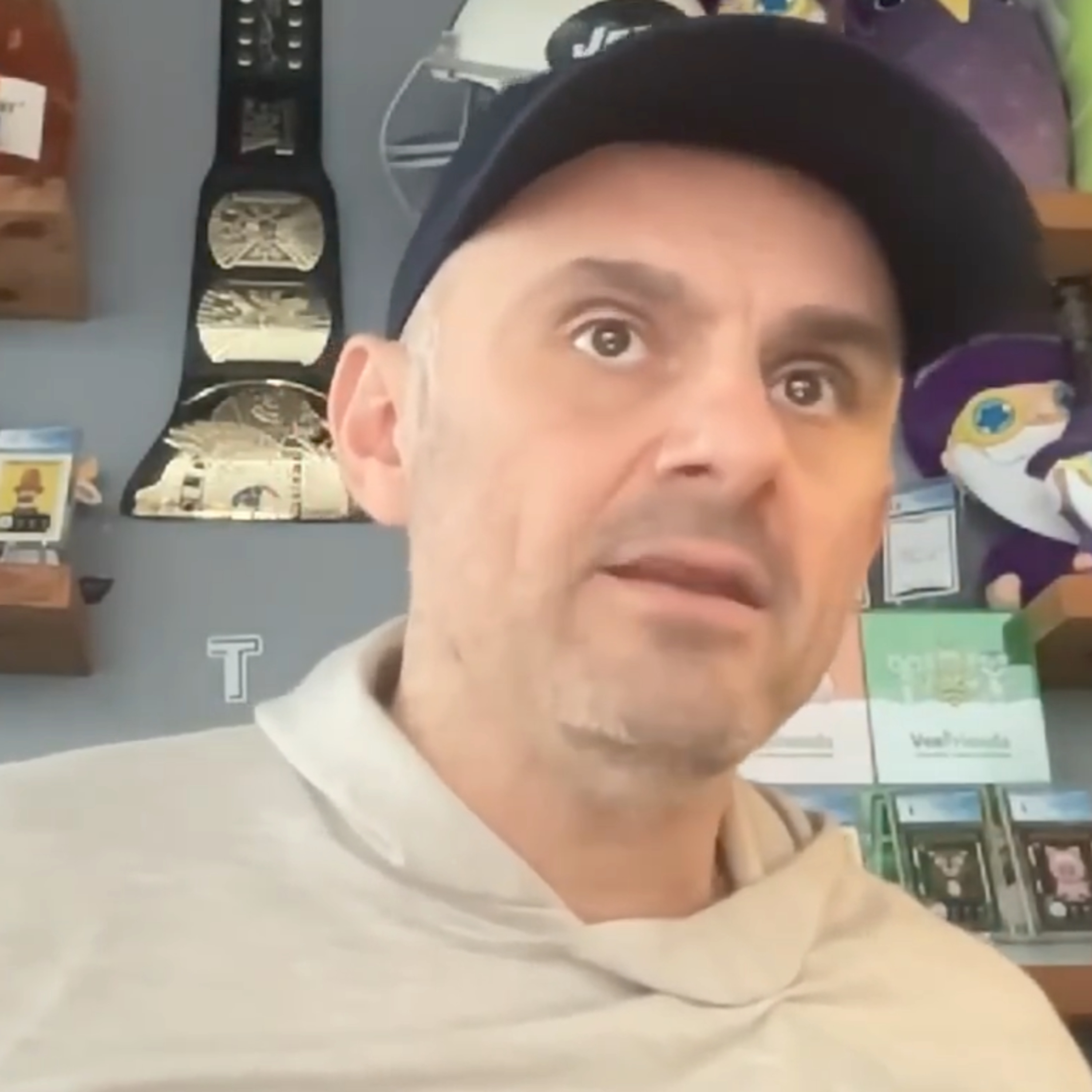The GaryVee Audio Experience