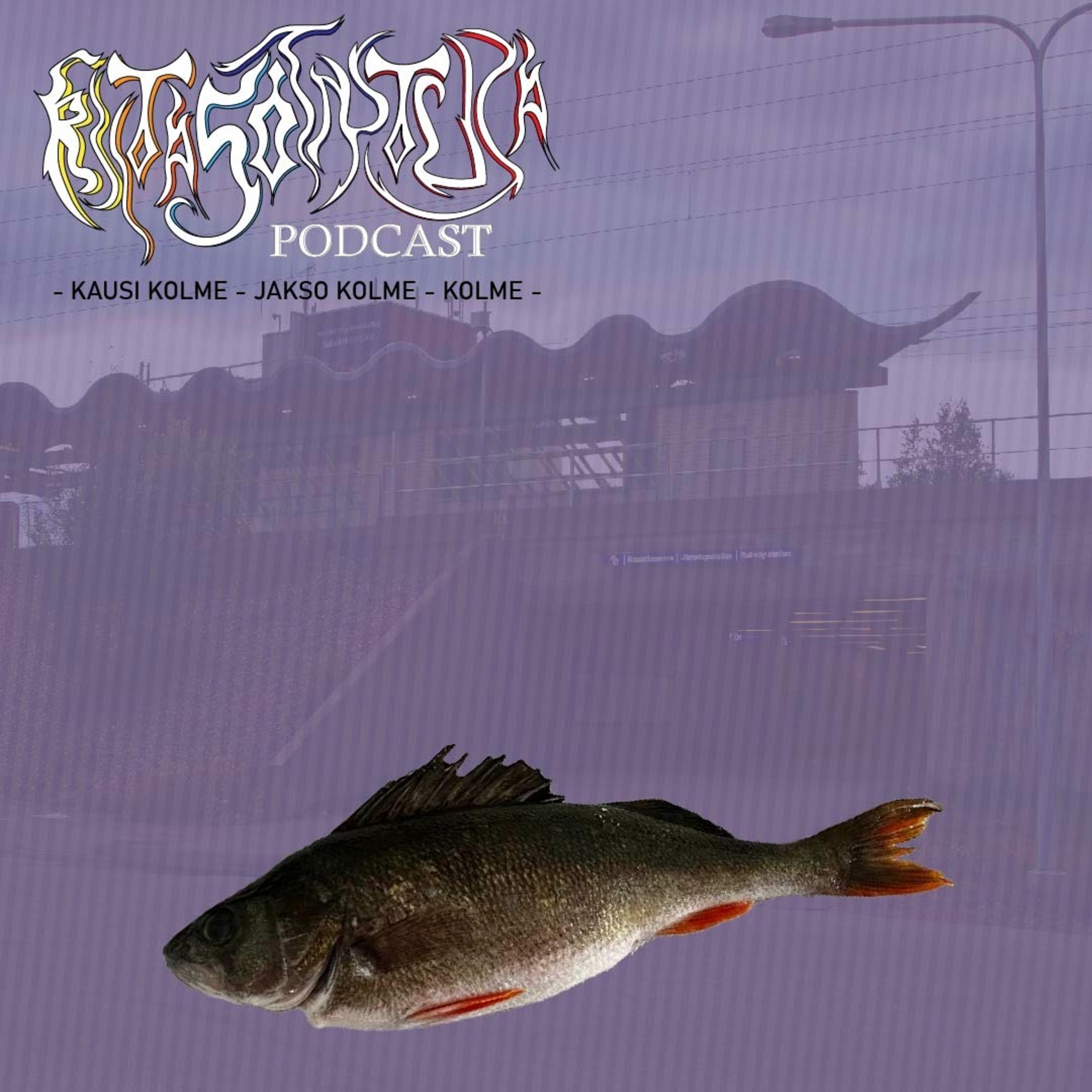 Riitaso1ntuja Podcast