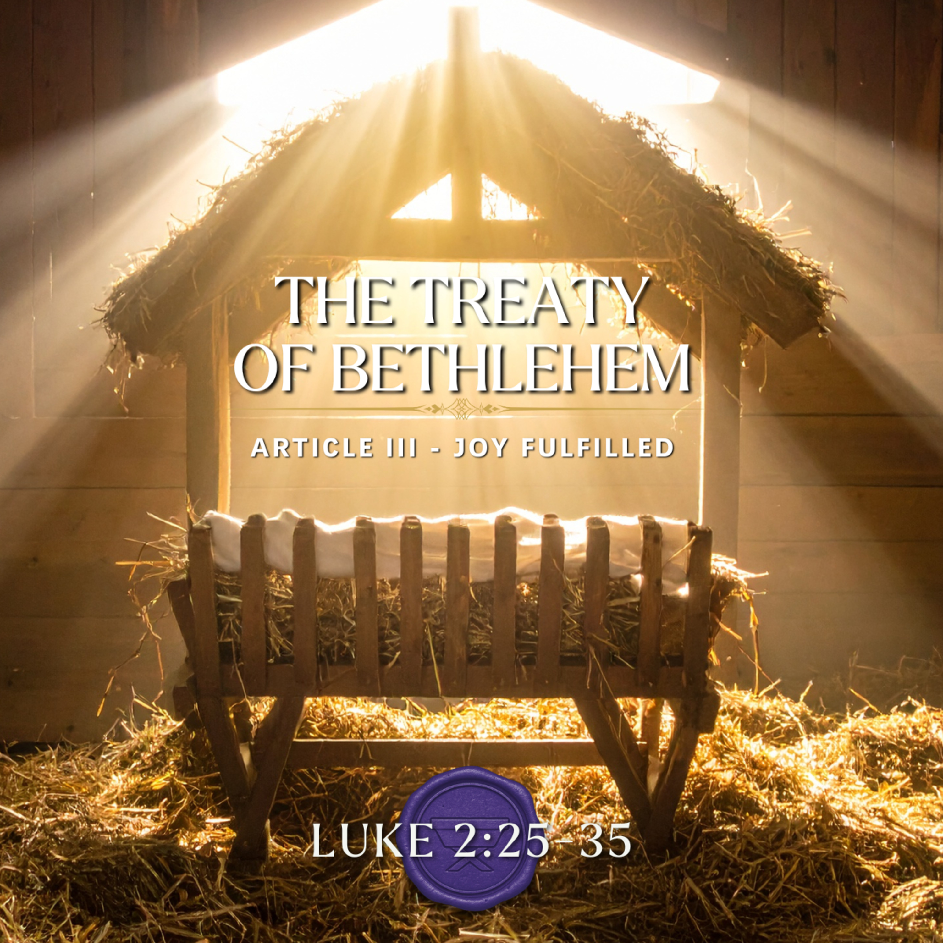 The Treaty of Bethlehem: Article III - Joy Fulfilled (Luke 2:25-35)