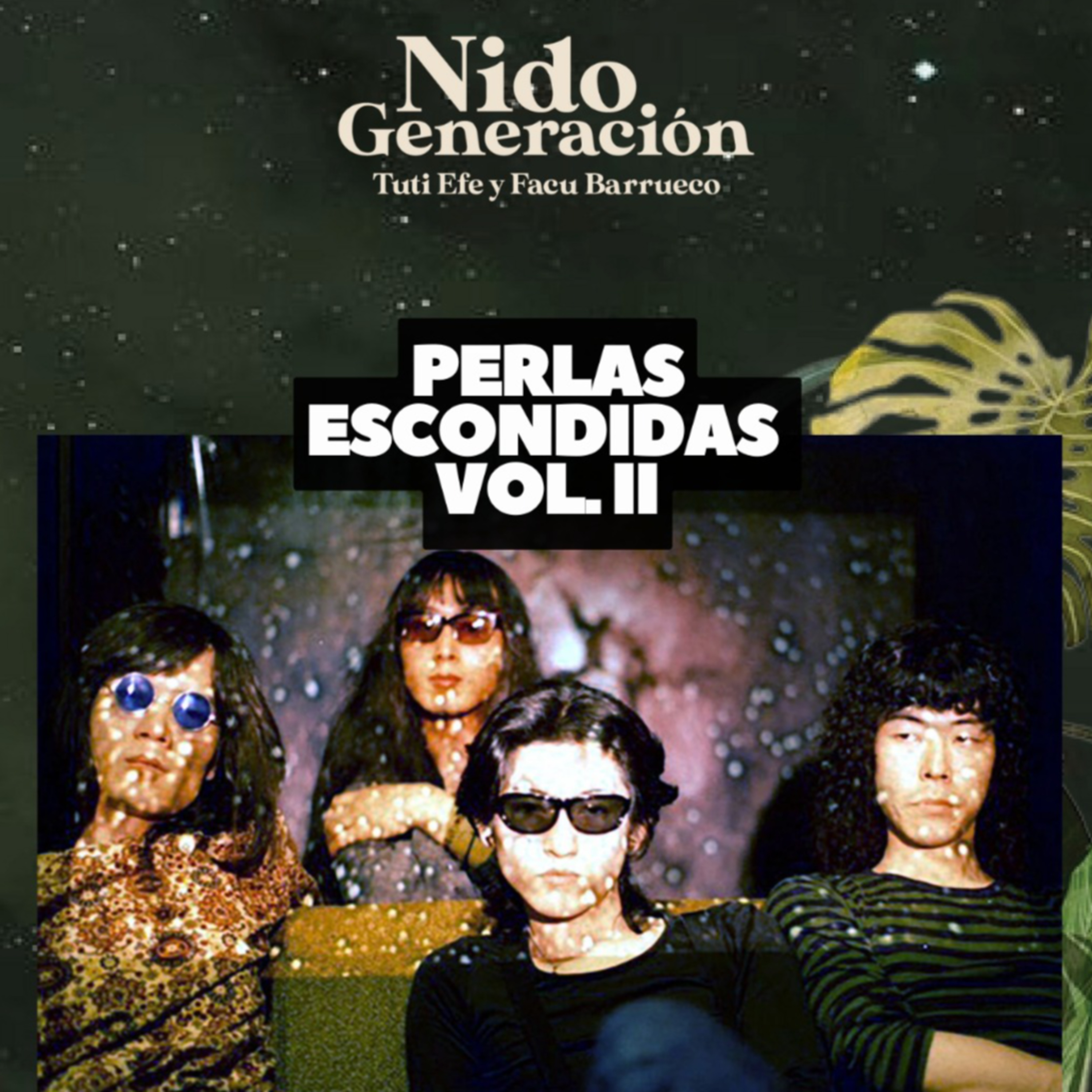 PERLAS ESCONDIDAS VOL. II: Les Rallizes Dénudés (Hadaka No Rariizu)  episode artwork