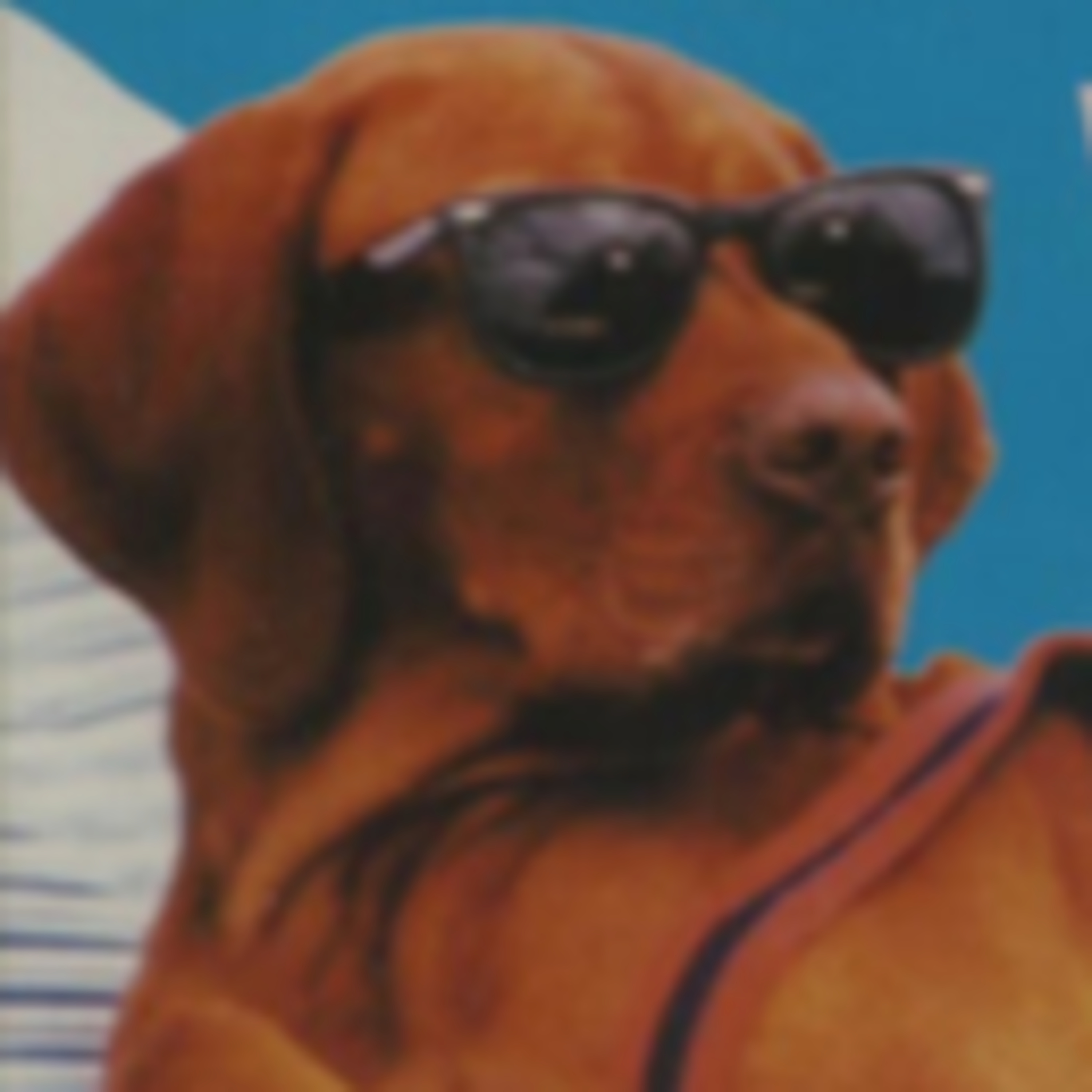 QUIÉN DEJÓ SALIR A LOS PERROS episode artwork