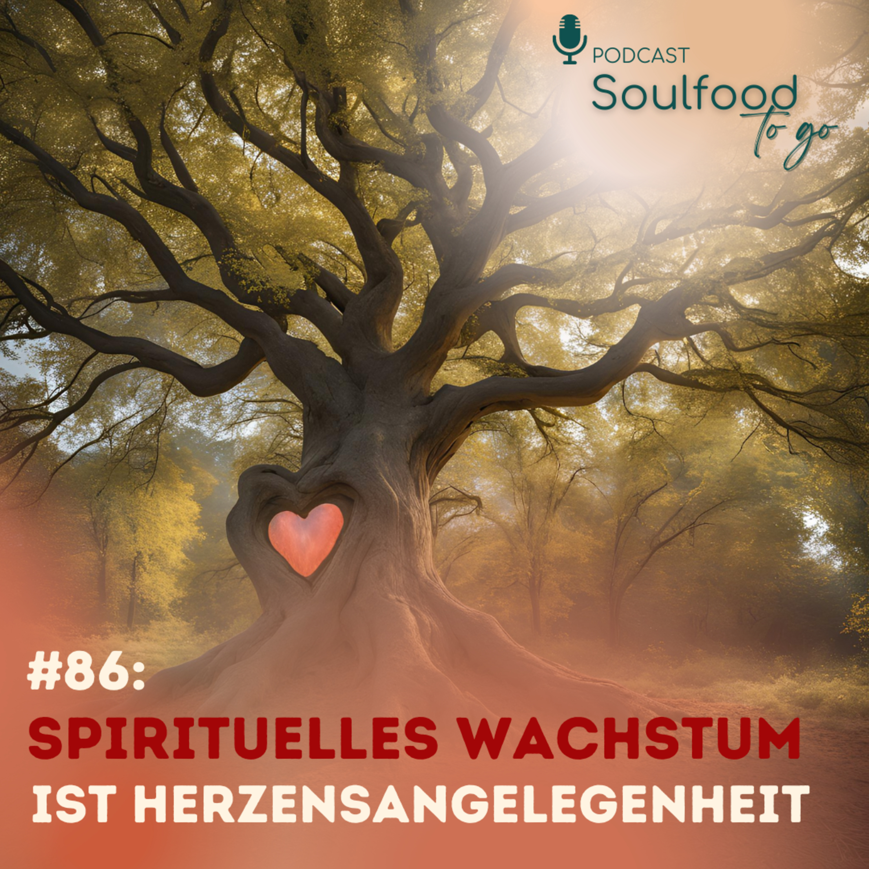 Soulfood to go