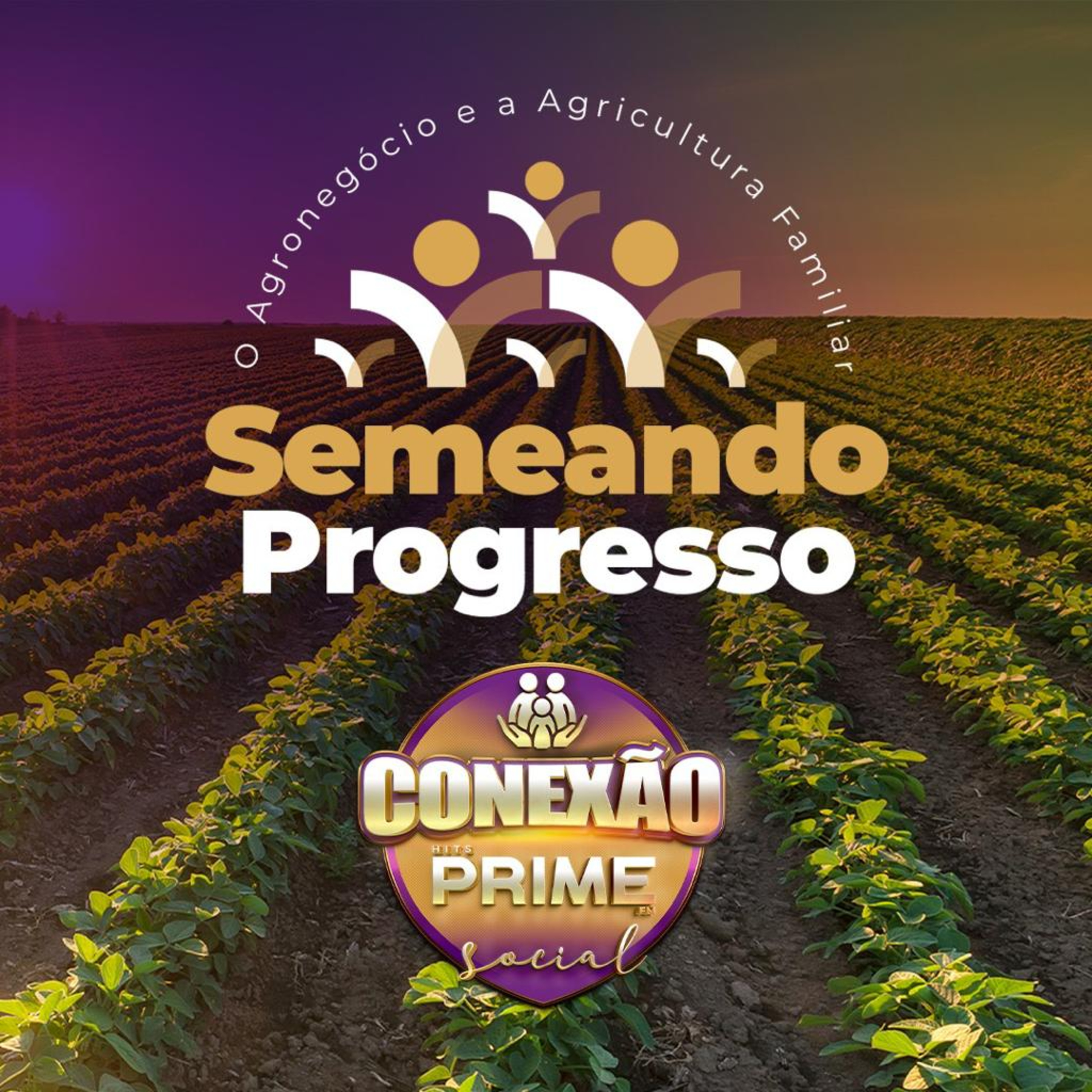 #27 CONEXÃO PRIME SOCIAL - SEMEANDO PROGRESSO - 03 de Agosto de 2023 episode artwork