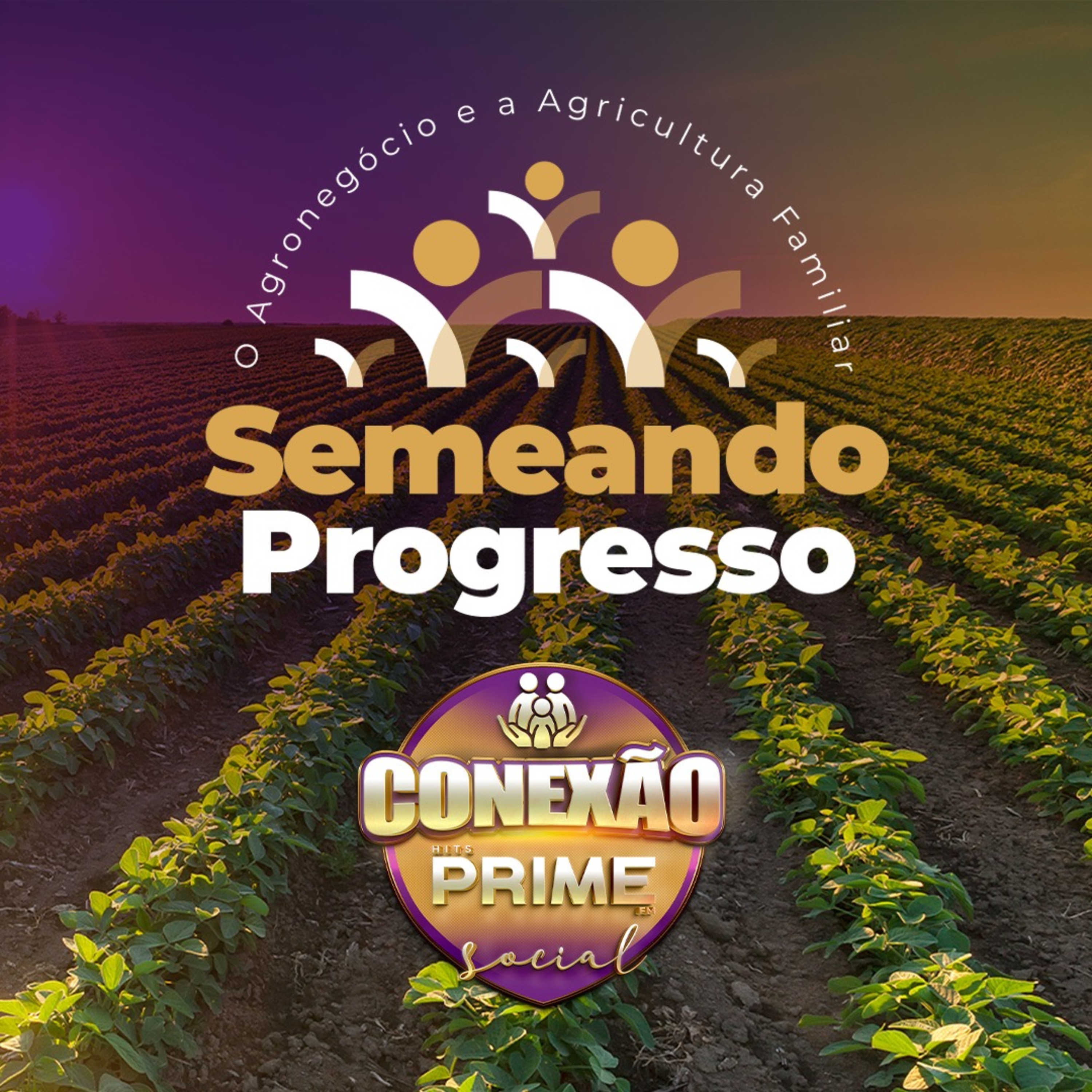 #49 CONEXÃO PRIME SOCIAL - SEMEANDO PROGRESSO - 19 de Agosto de 2023 episode artwork