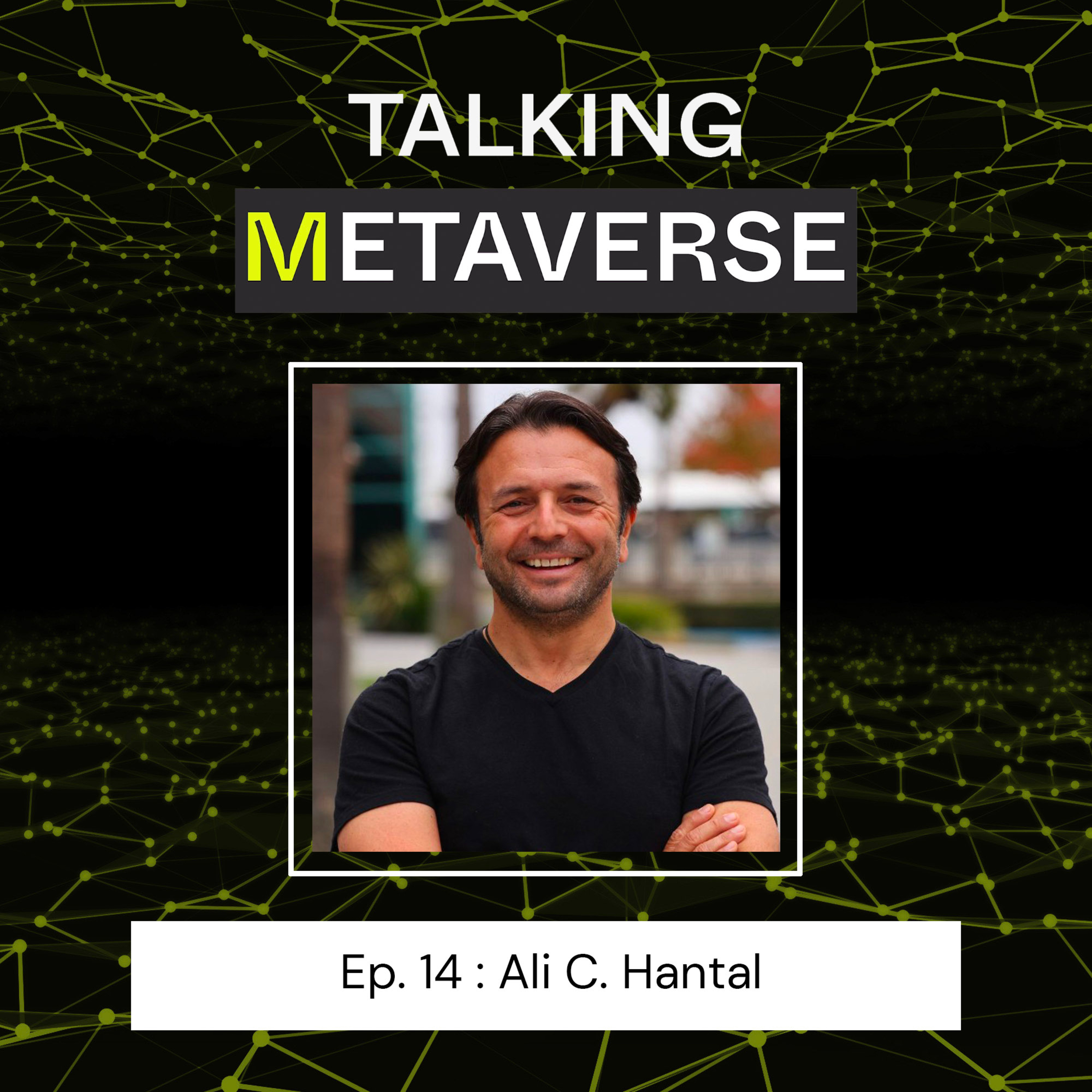 Talking Metaverse