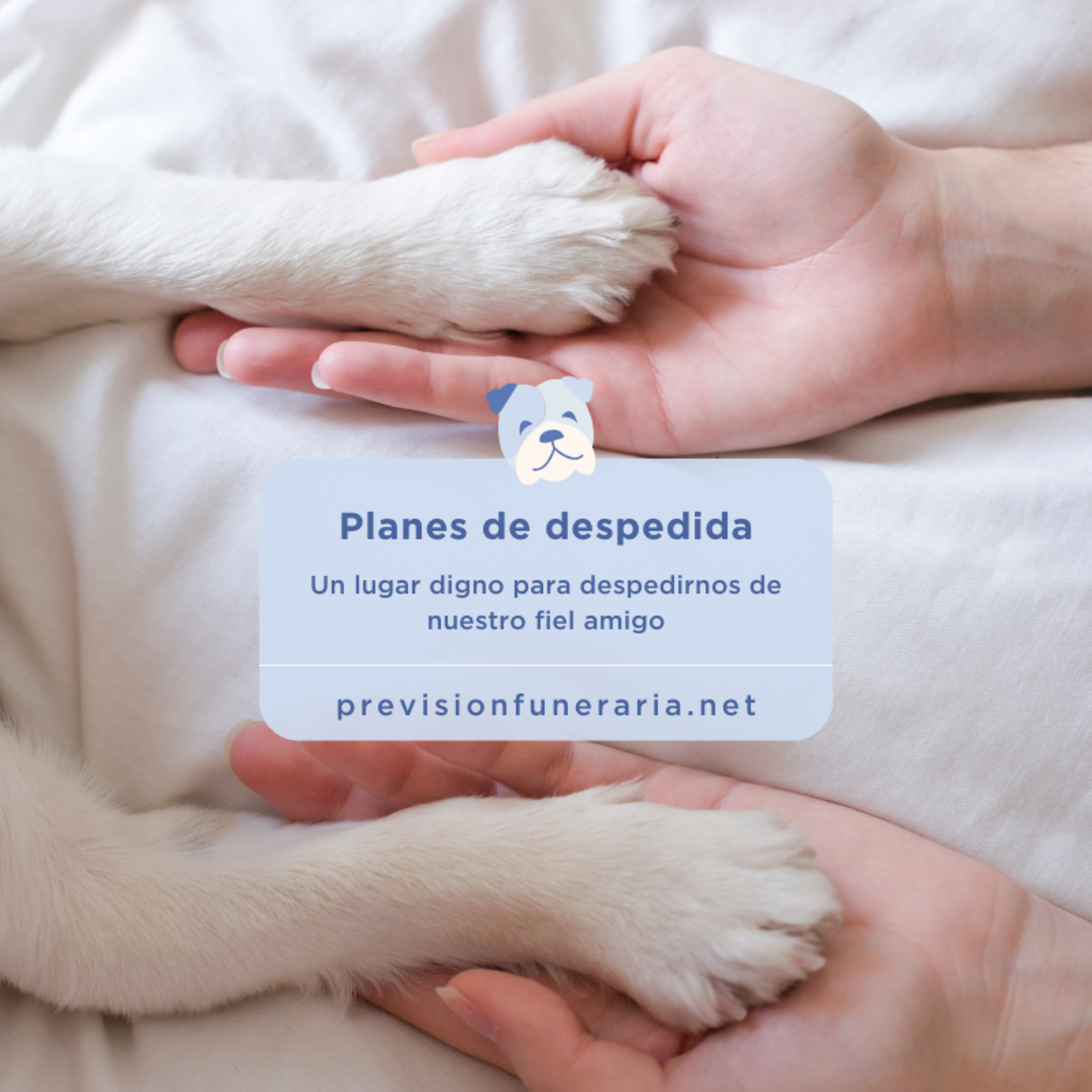 Portada de Previsión Funeraria