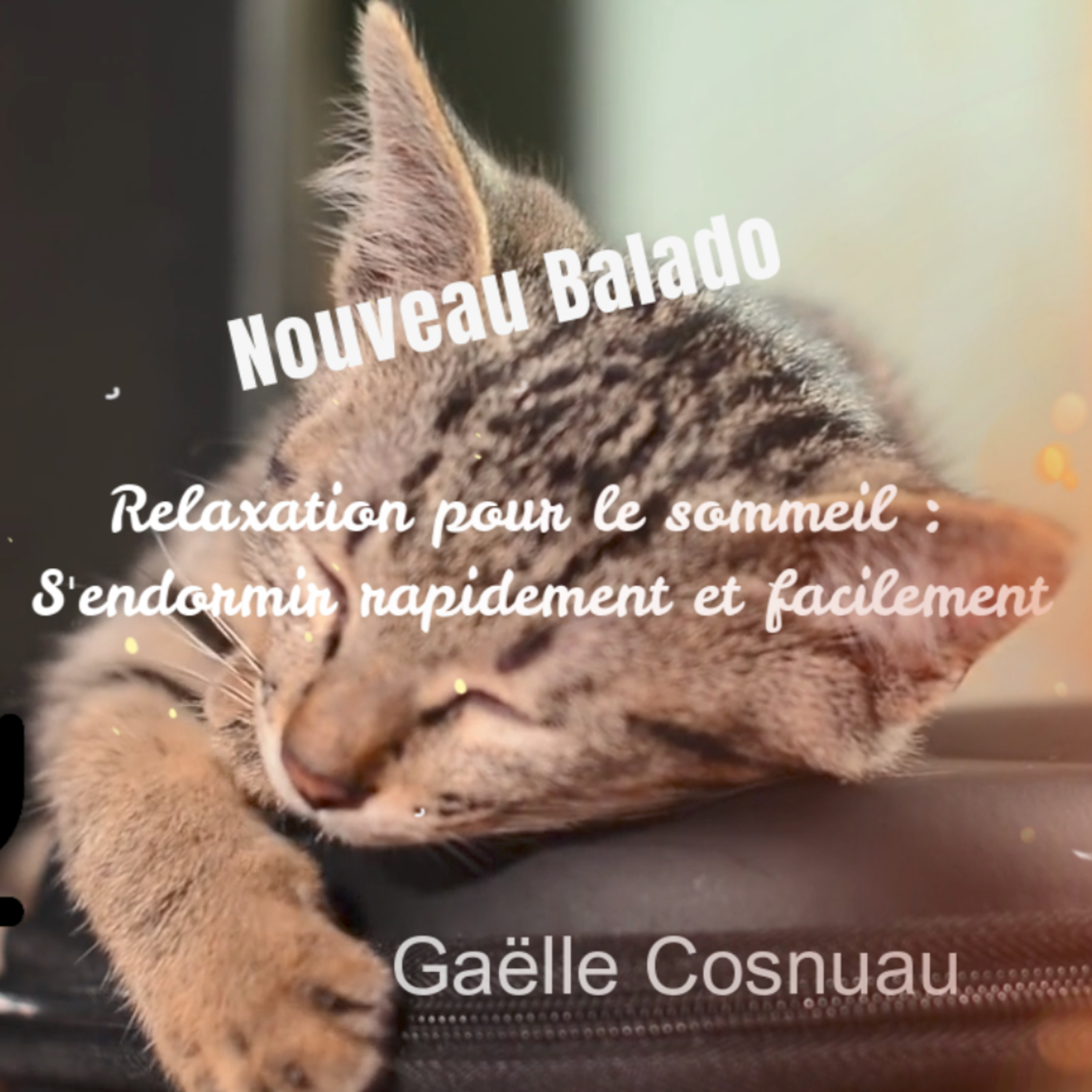 Yoga et bien-être pour tous