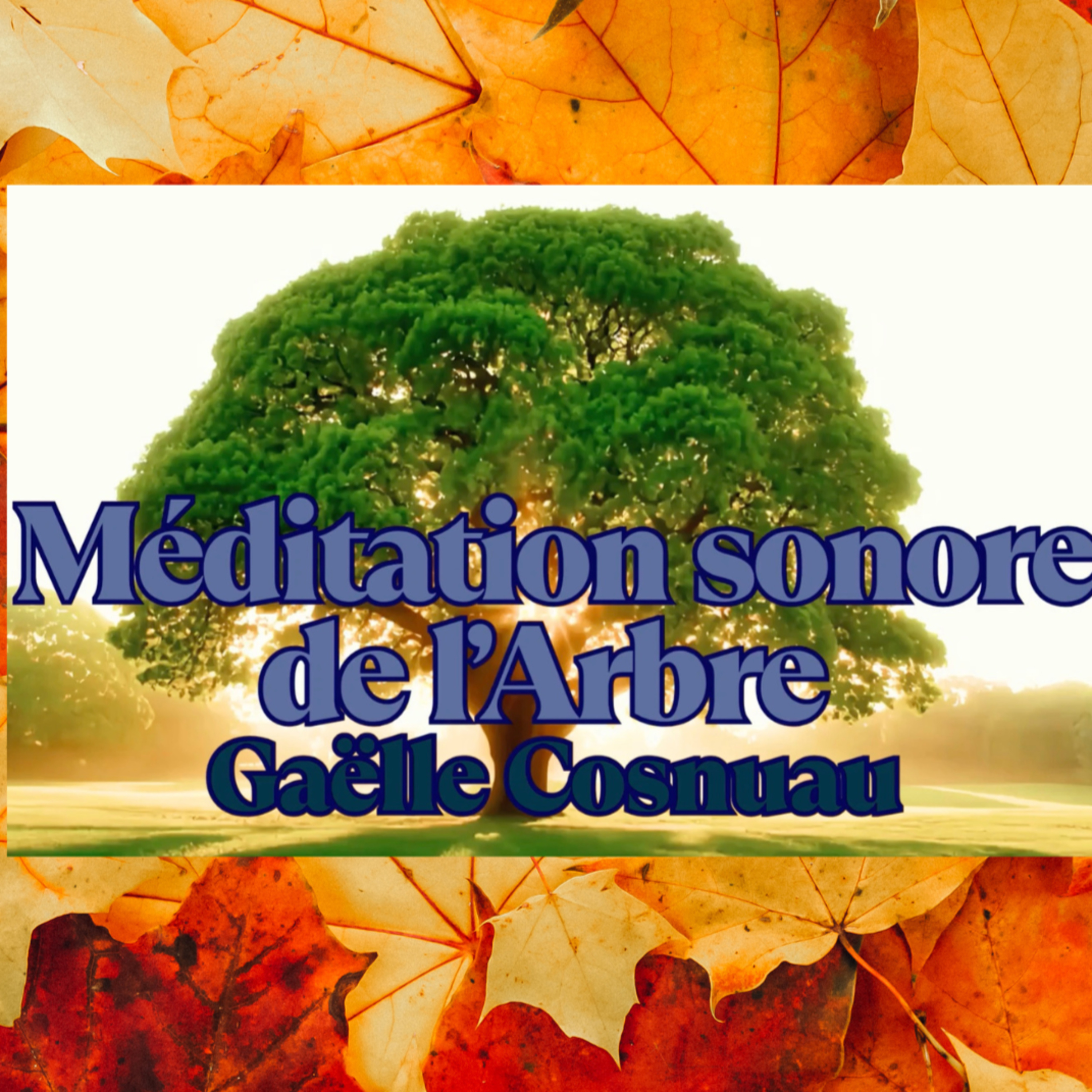 Promenade automnale et Méditation sonore de l'arbre episode artwork
