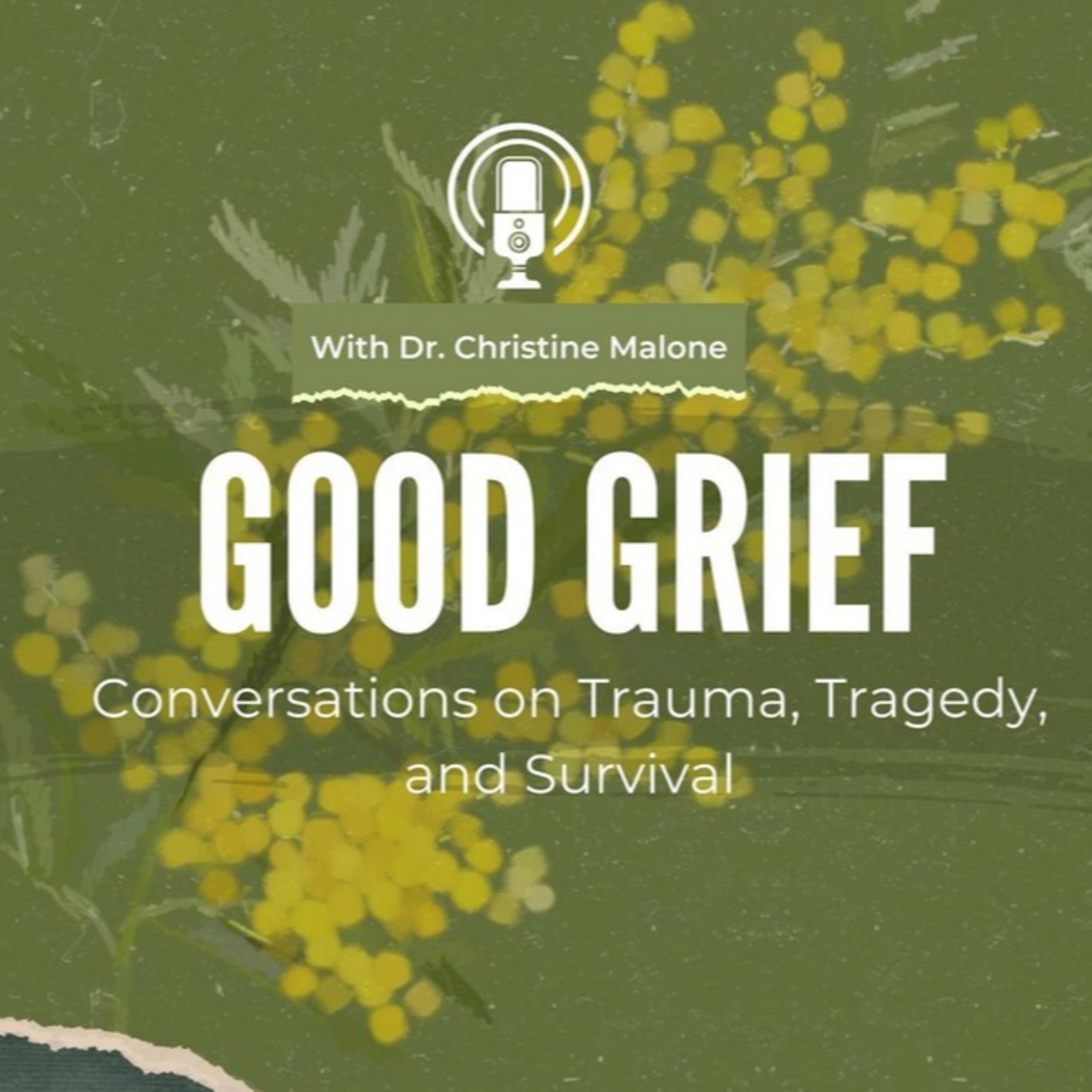 Interview on Dr. Christine Malone Podcast episode artwork