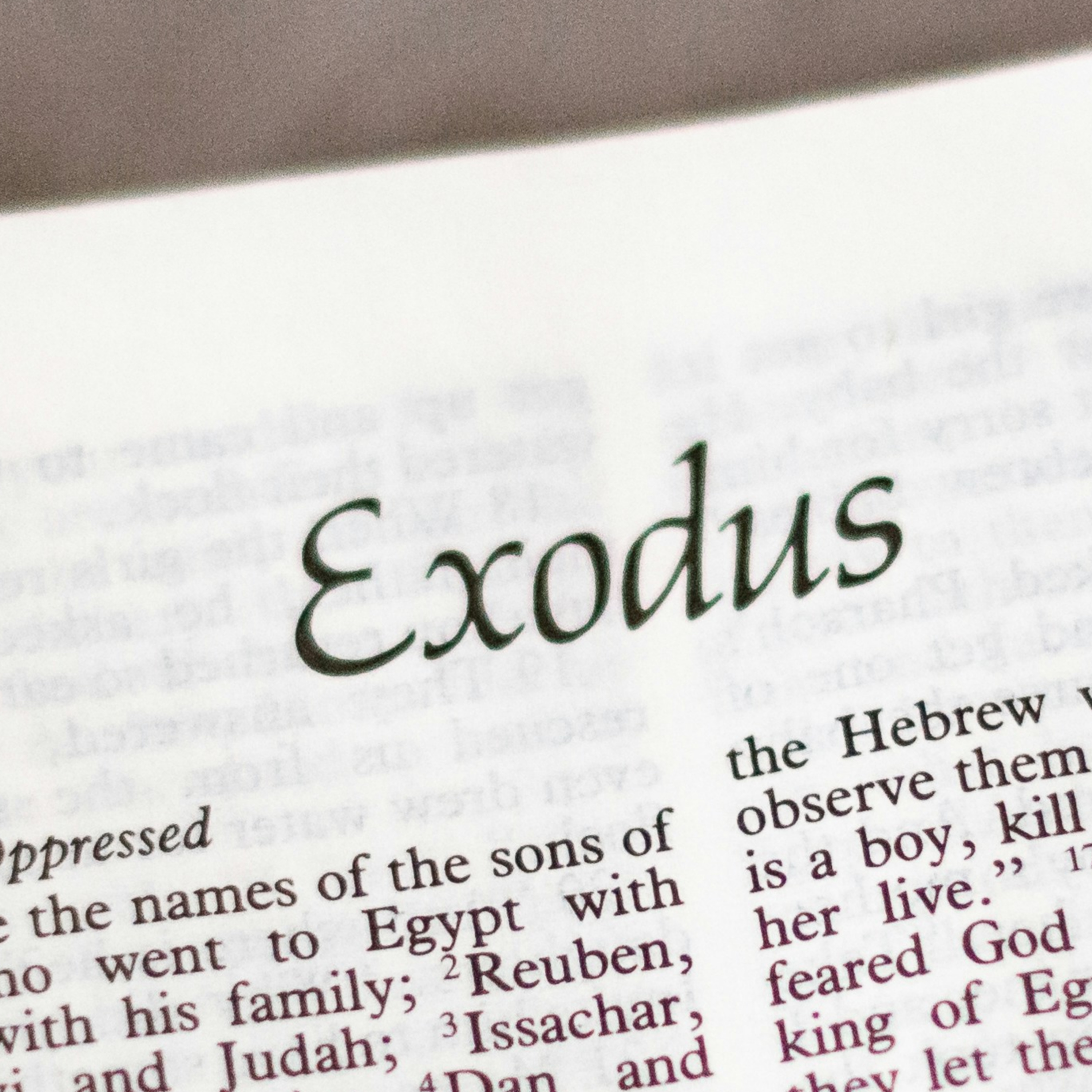 24/11/24 A/Ps Edwin Yapp - Christ Dwelling in Us (Exodus 20, 26-27) episode artwork