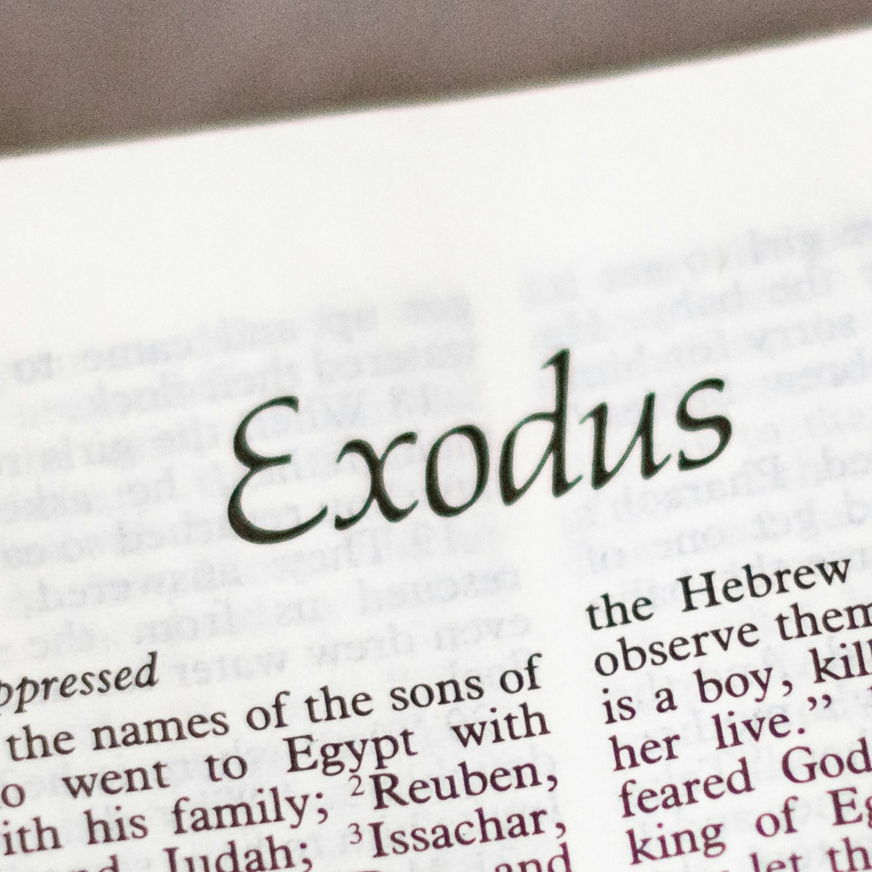 1/12/24 Rev Rachel Li - God Forgives (Exodus 12) episode artwork