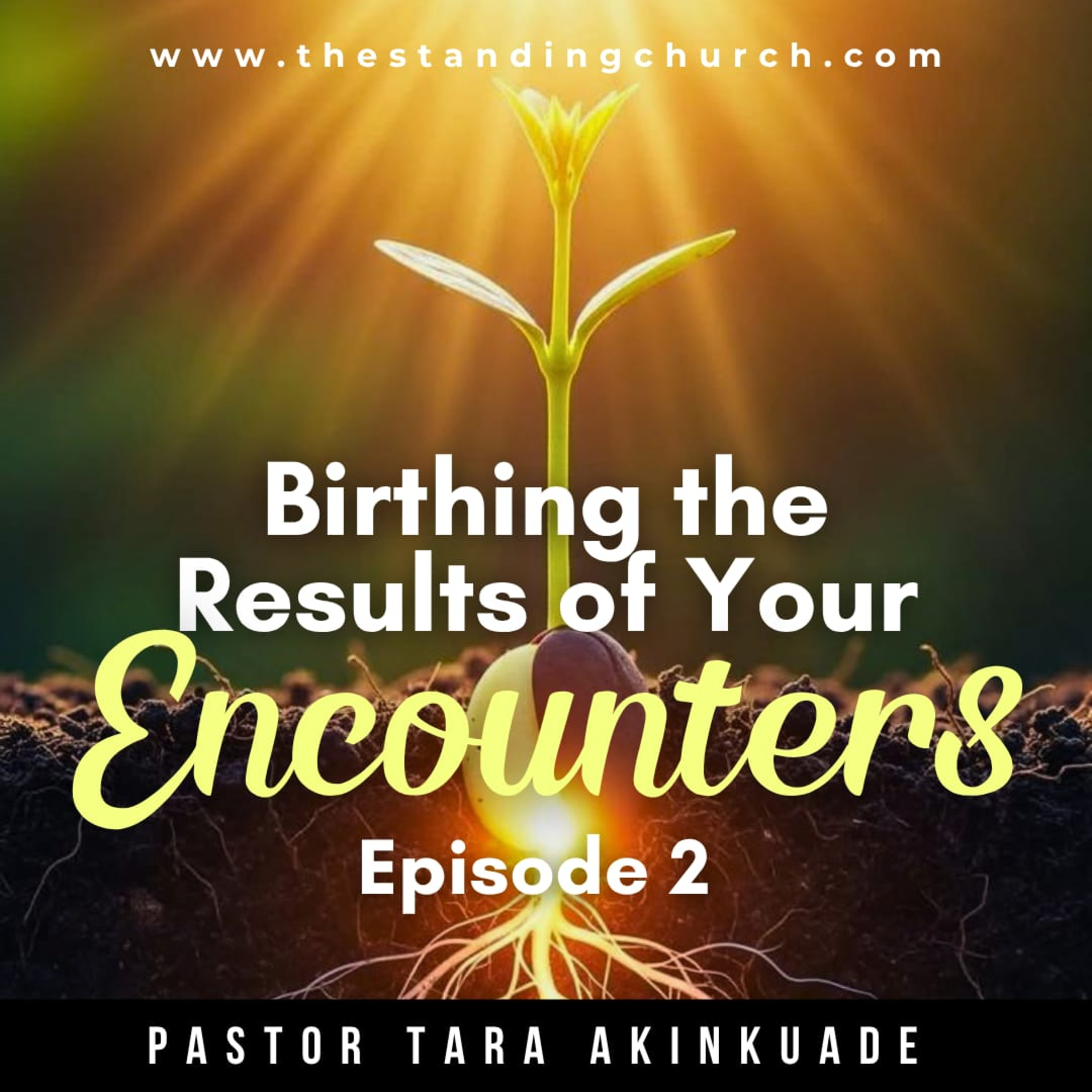 Birthing the Results of Your Encounters - Episode 2