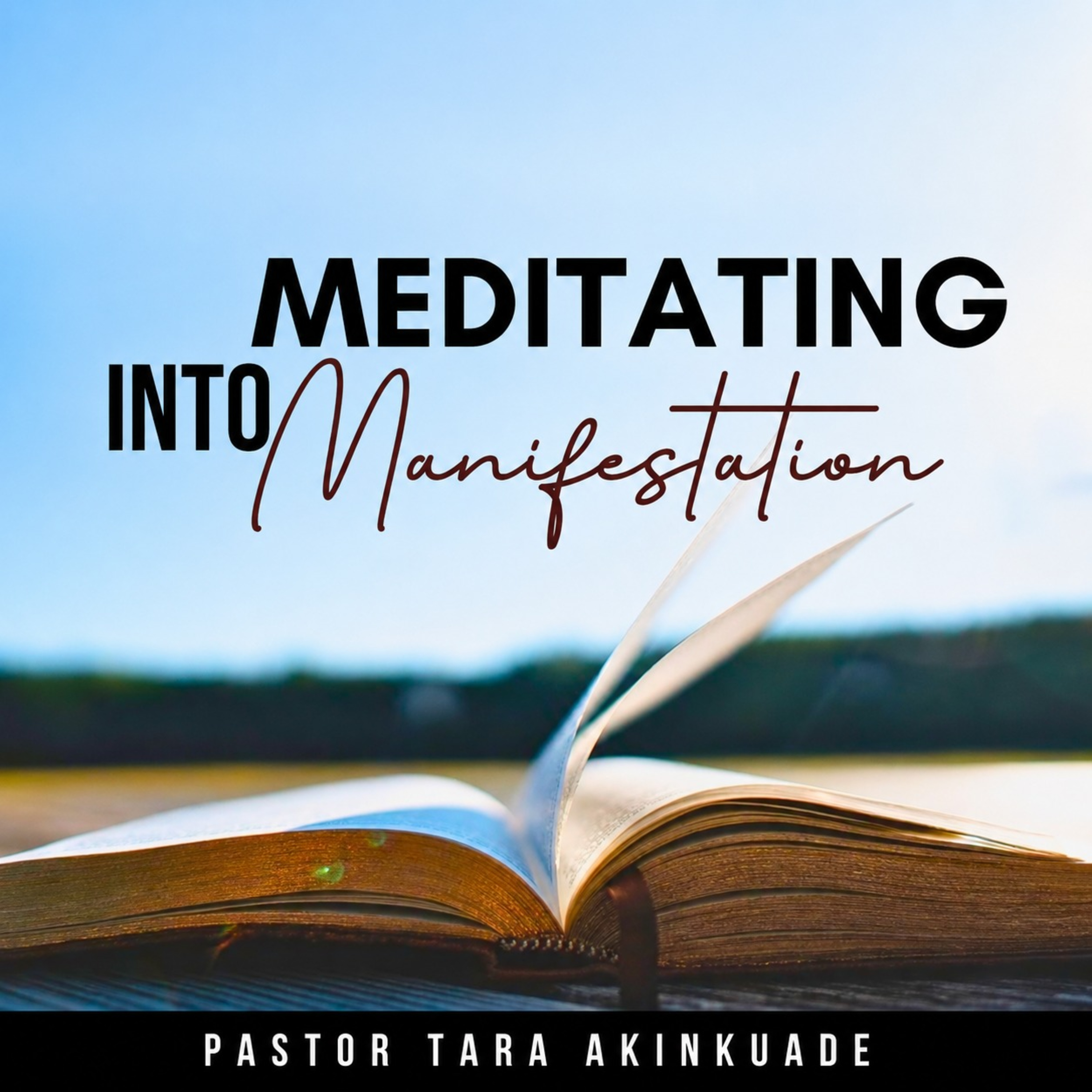 Meditating into Manifestation