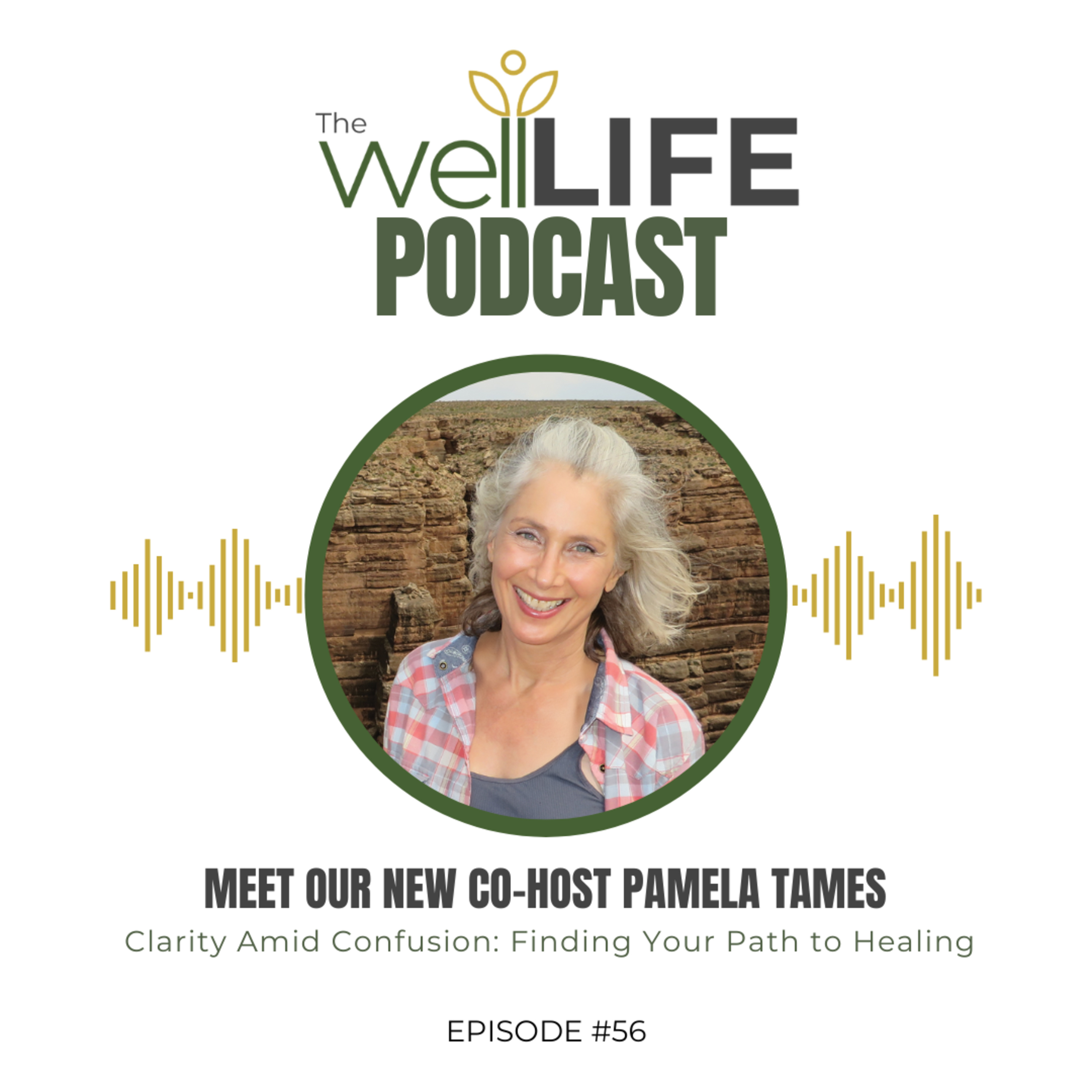 Clarity Amid Confusion: Finding Your Path to Healing
