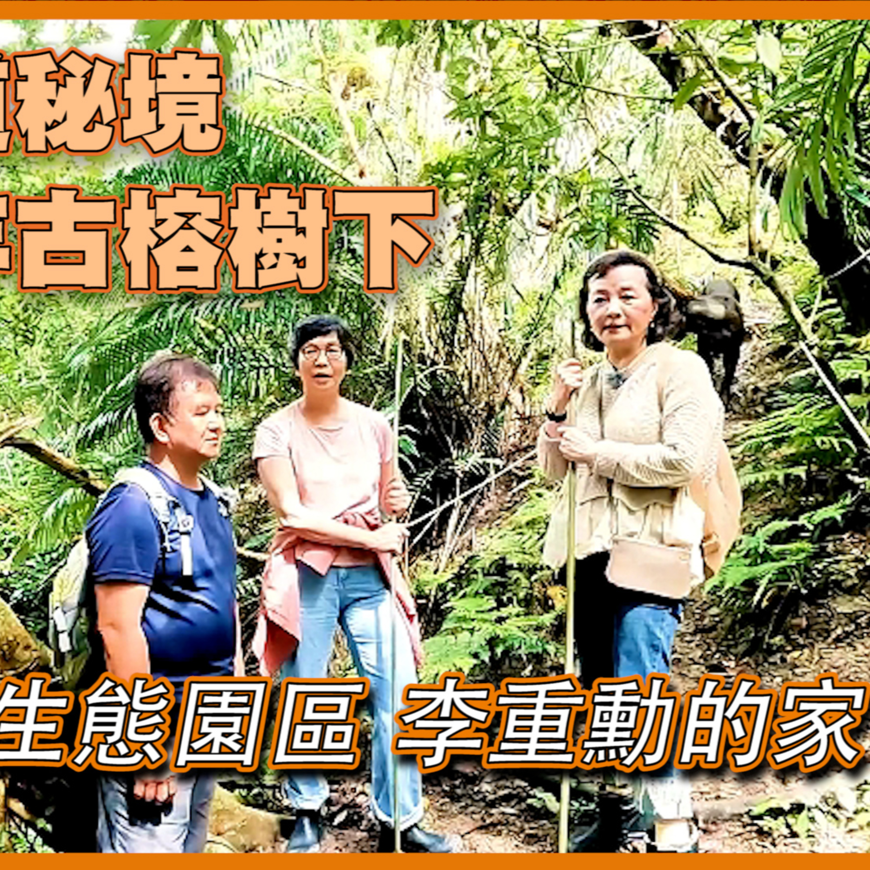 爬上古道秘境醉倒百年古榕樹下#古榕映水生態園區 #李重勳 的家 #大媽老司機 EP112