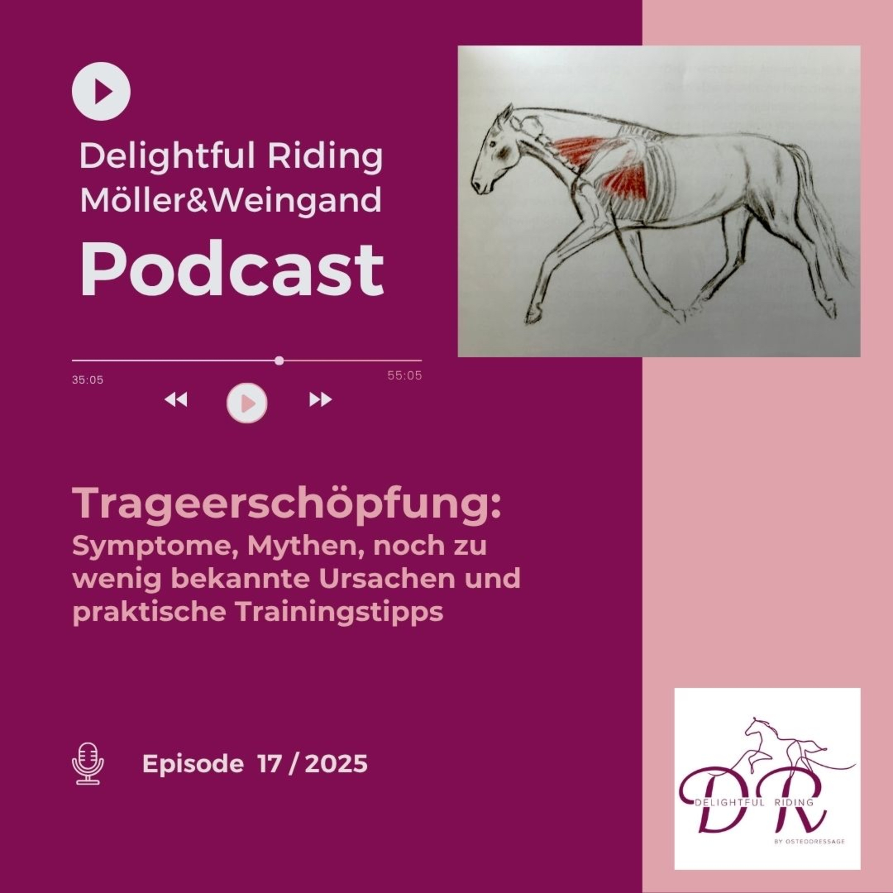 Delightful Riding by OsteoDressage - Reiten, wie es Pferde lieben