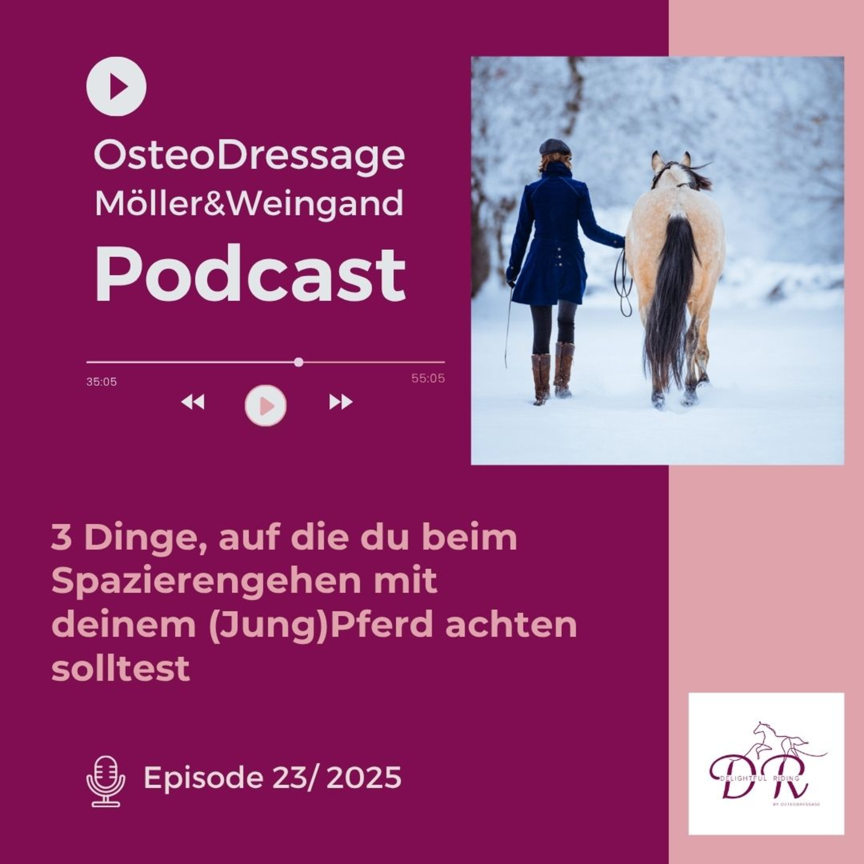 3 Dinge, auf die du beim Spazierengehen mit deinem (Jung)Pferd achten solltest episode artwork
