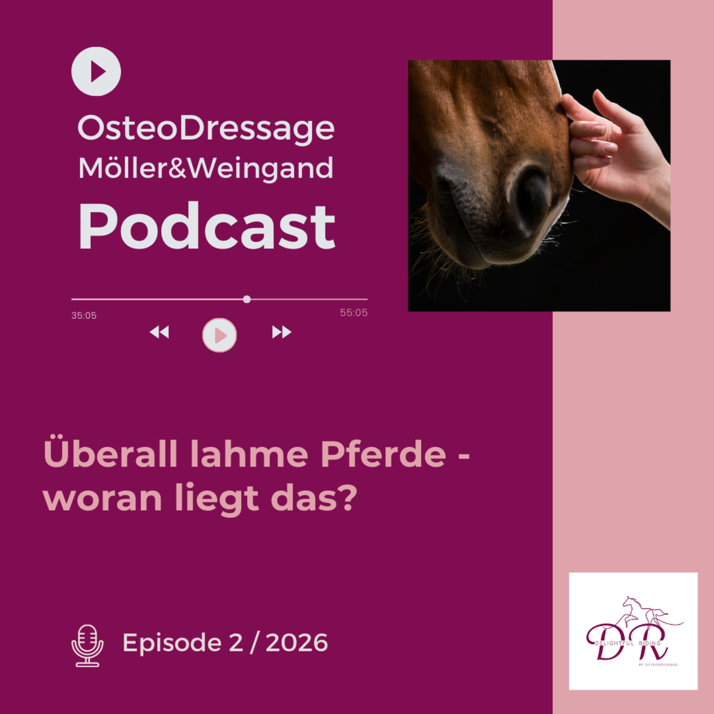 Überall lahme Pferde - woran liegt das? episode artwork