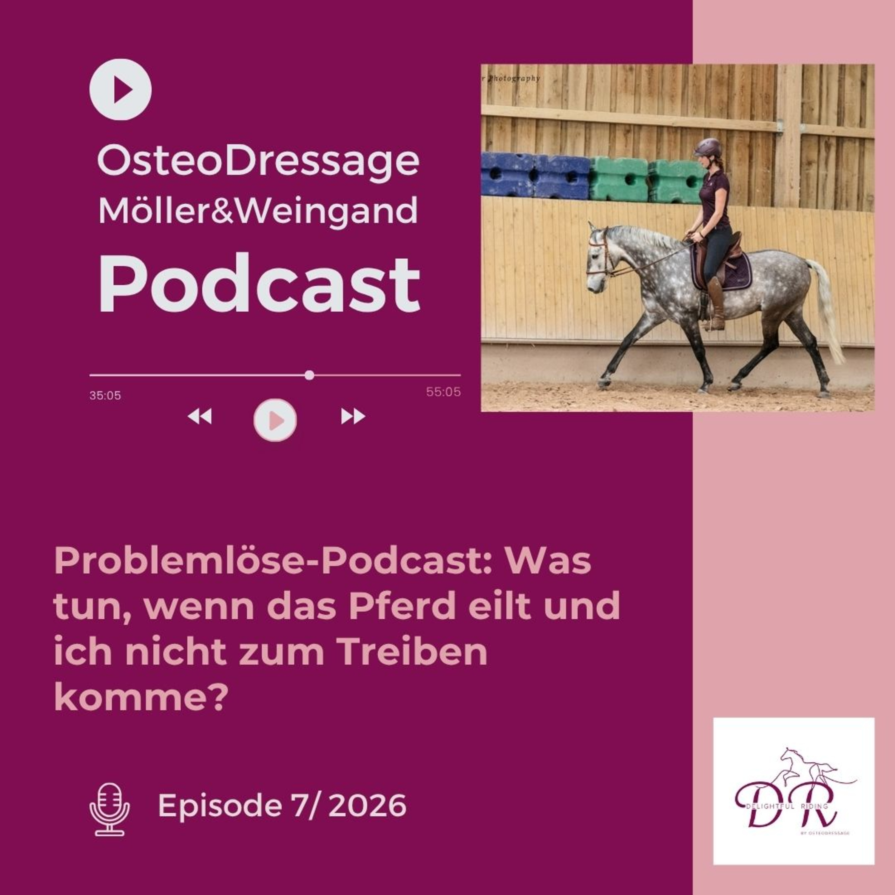 Problemlöse-Podcast: Was tun, wenn das Pferd eilt? episode artwork