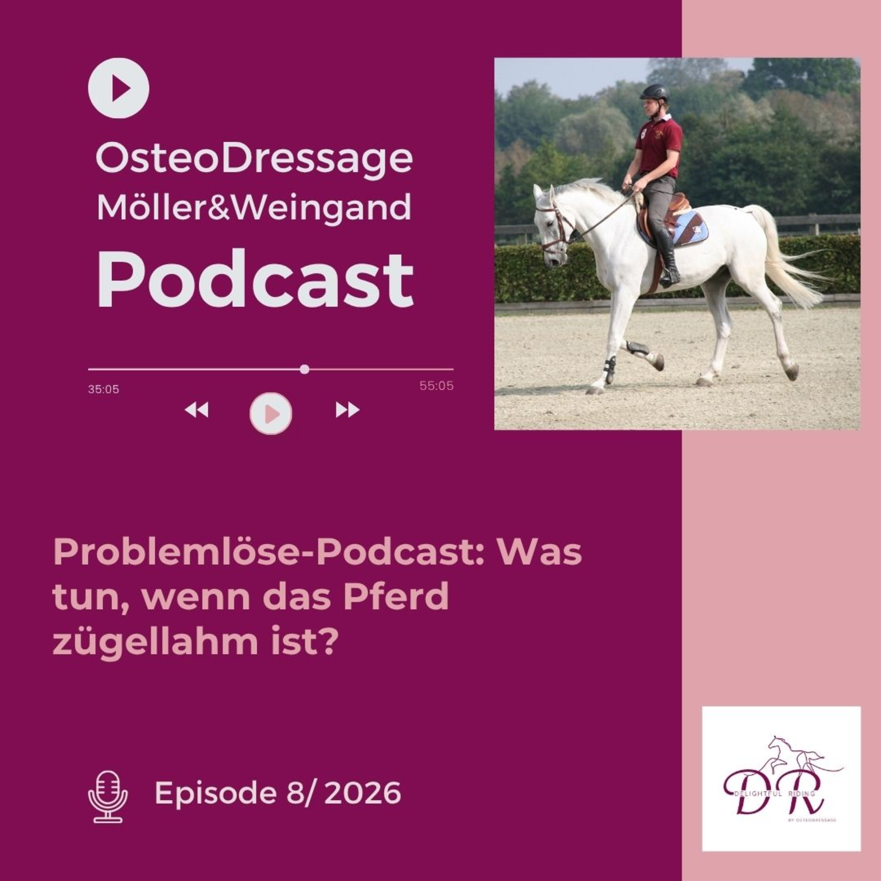 Problemlöse-Podcast: Was tun, wenn ein Pferd zügellahm ist? episode artwork