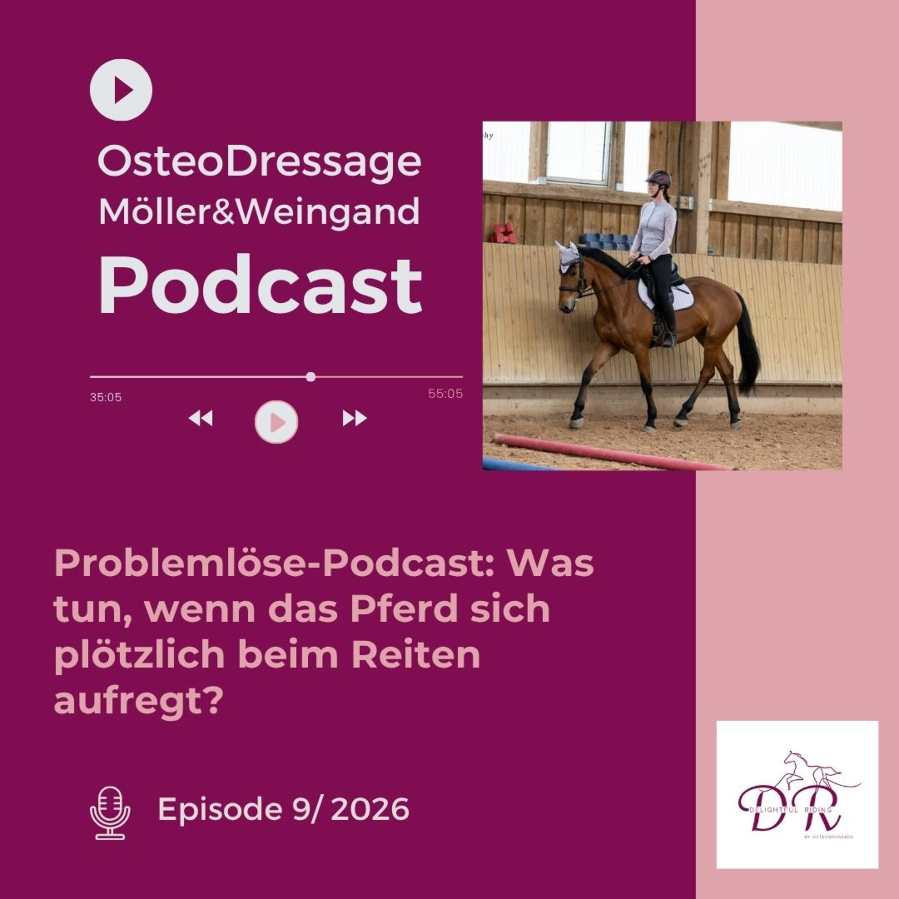 Problemlöse-Podcast: Was tun, wenn das Pferd sich beim Reiten aufregt? episode artwork