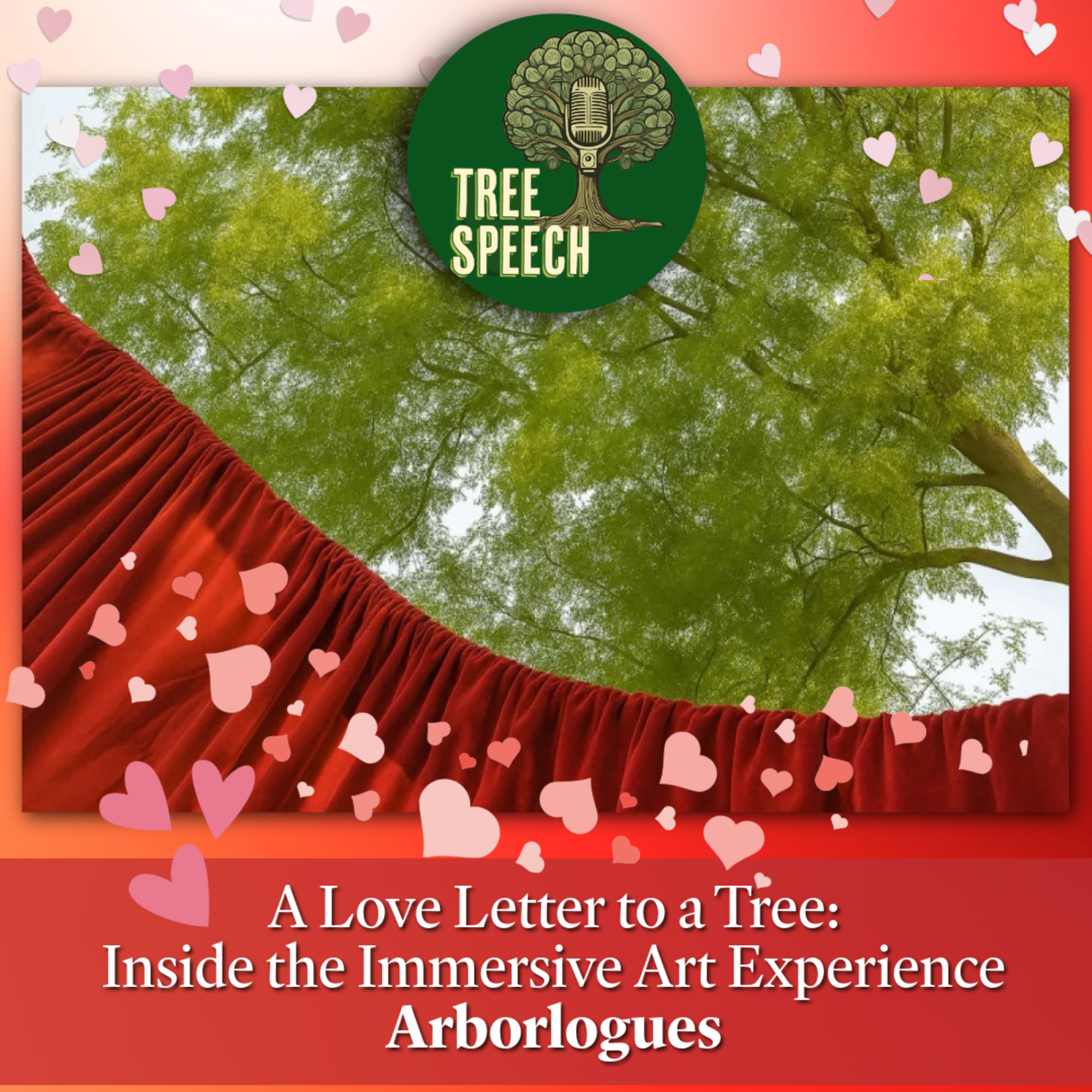 A Love Letter to a Tree: Inside the Immersive Art Experience Arborlogues