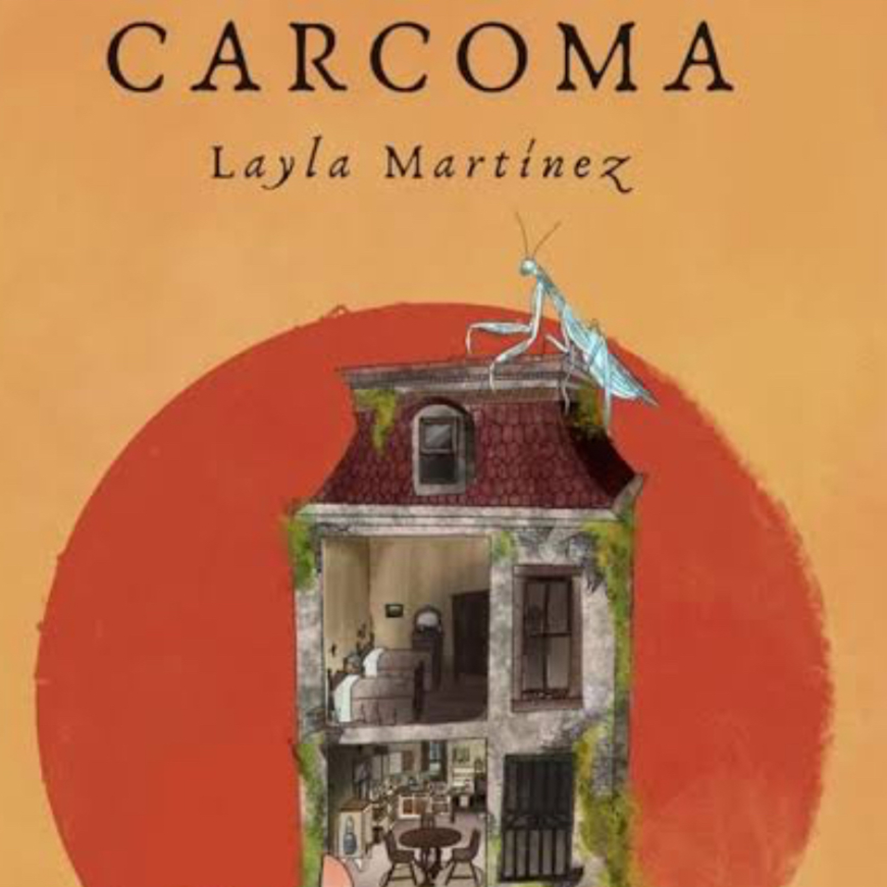 #libroclaroscuro