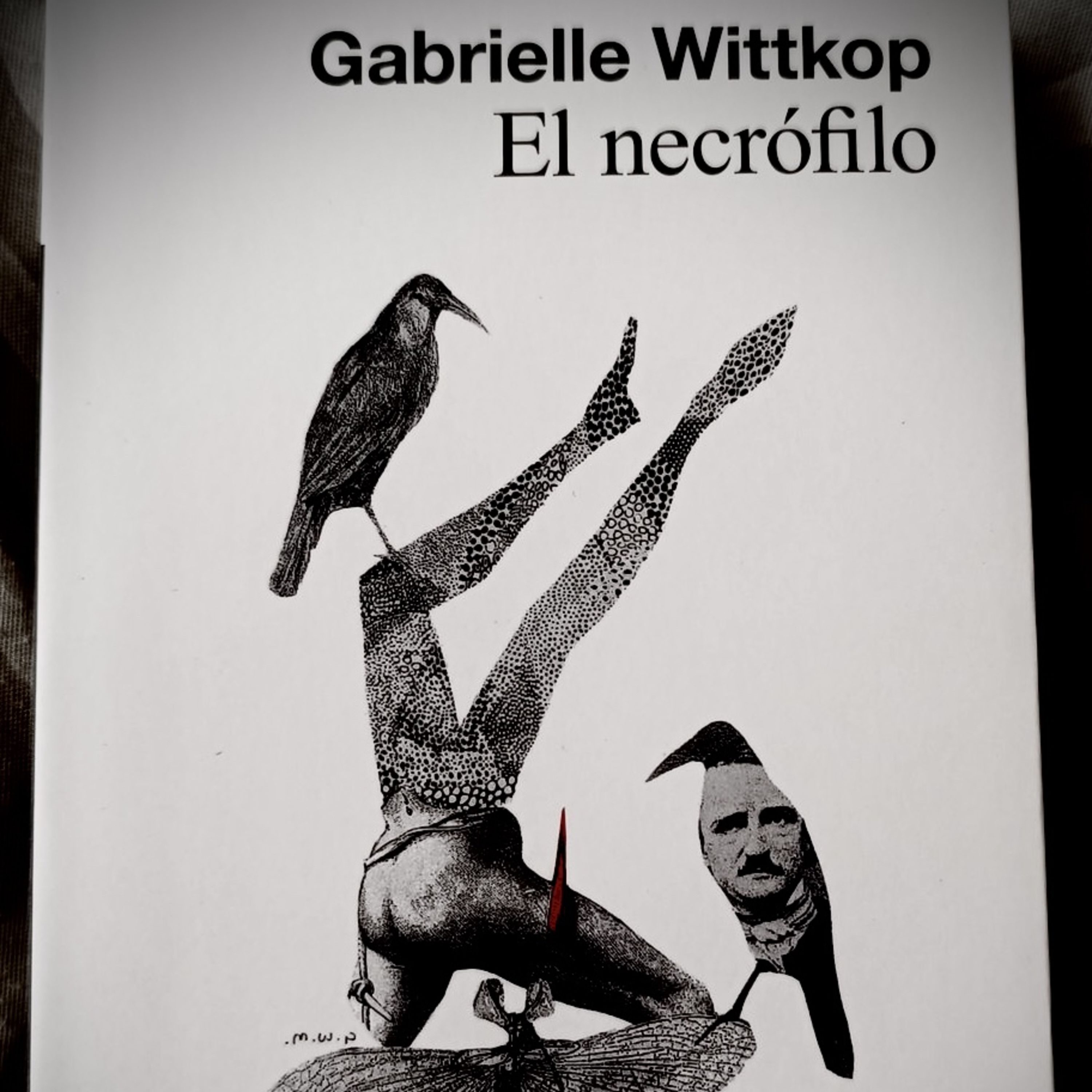 #libroclaroscuro