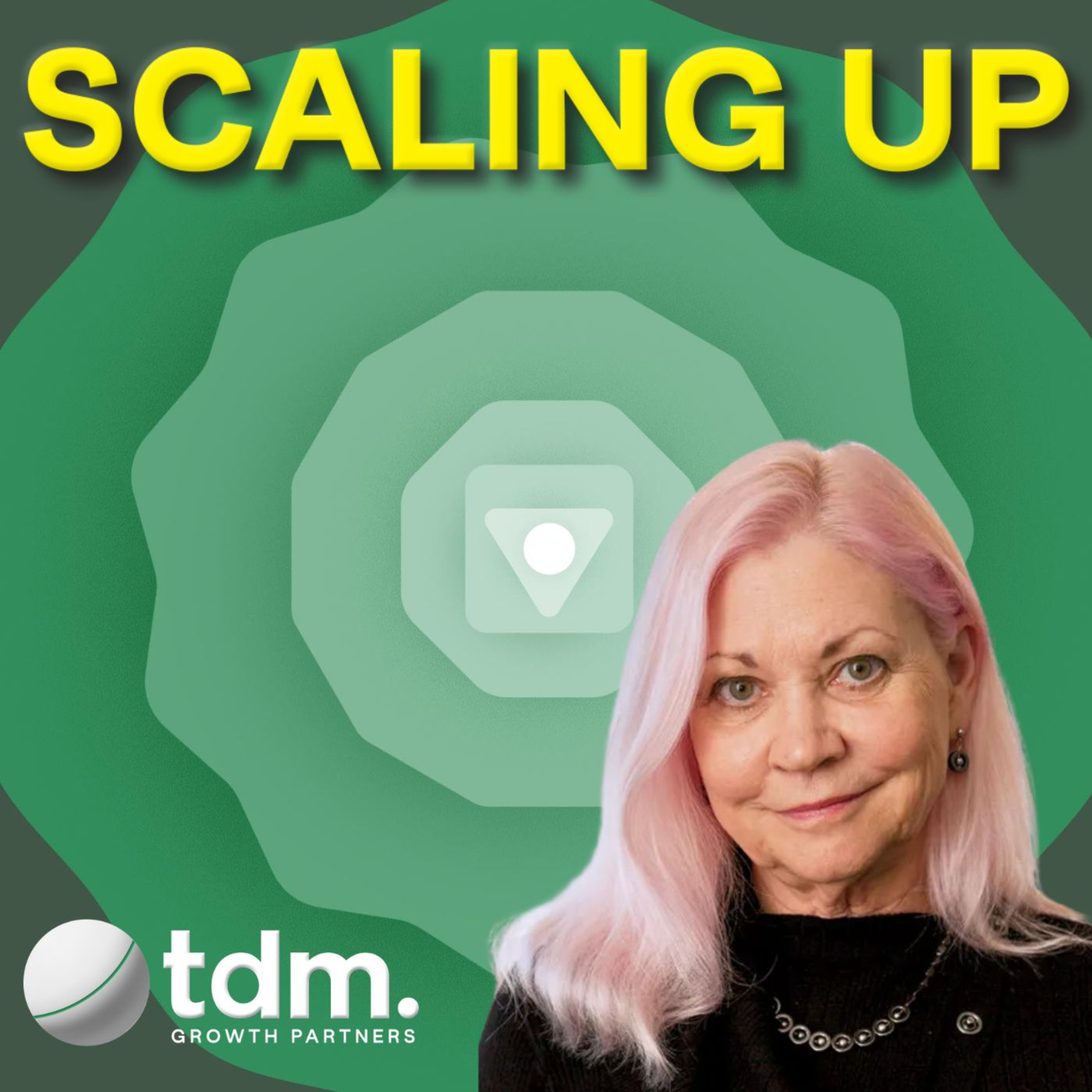 Scaling Up: Lessons From The World\'s Best CEOs and Founders